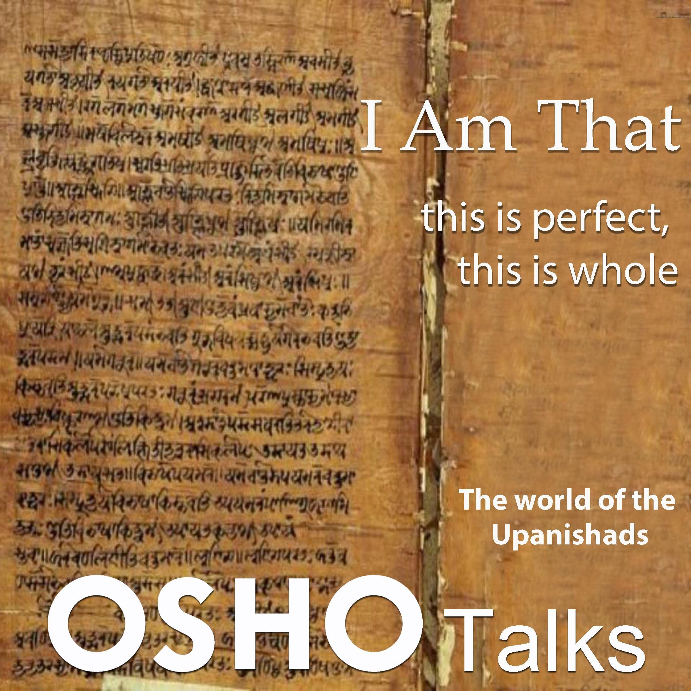Cover art for I Am That