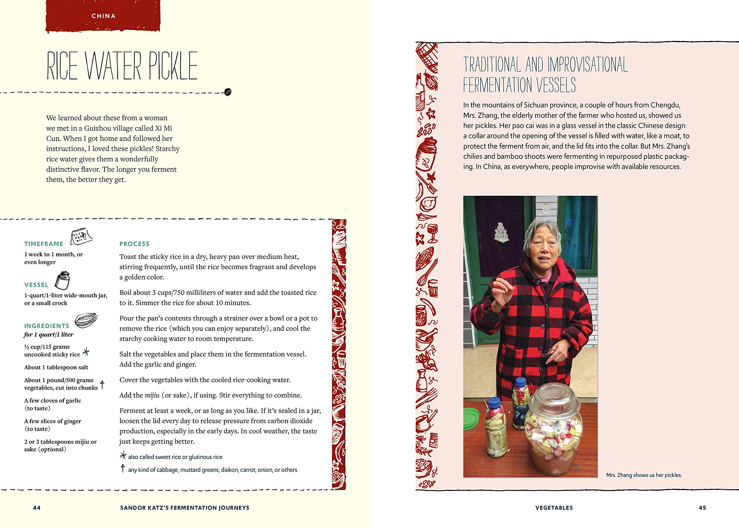Sandor Katz's Fermentation Journeys: Recipes, Techniques, and Traditions from around the World