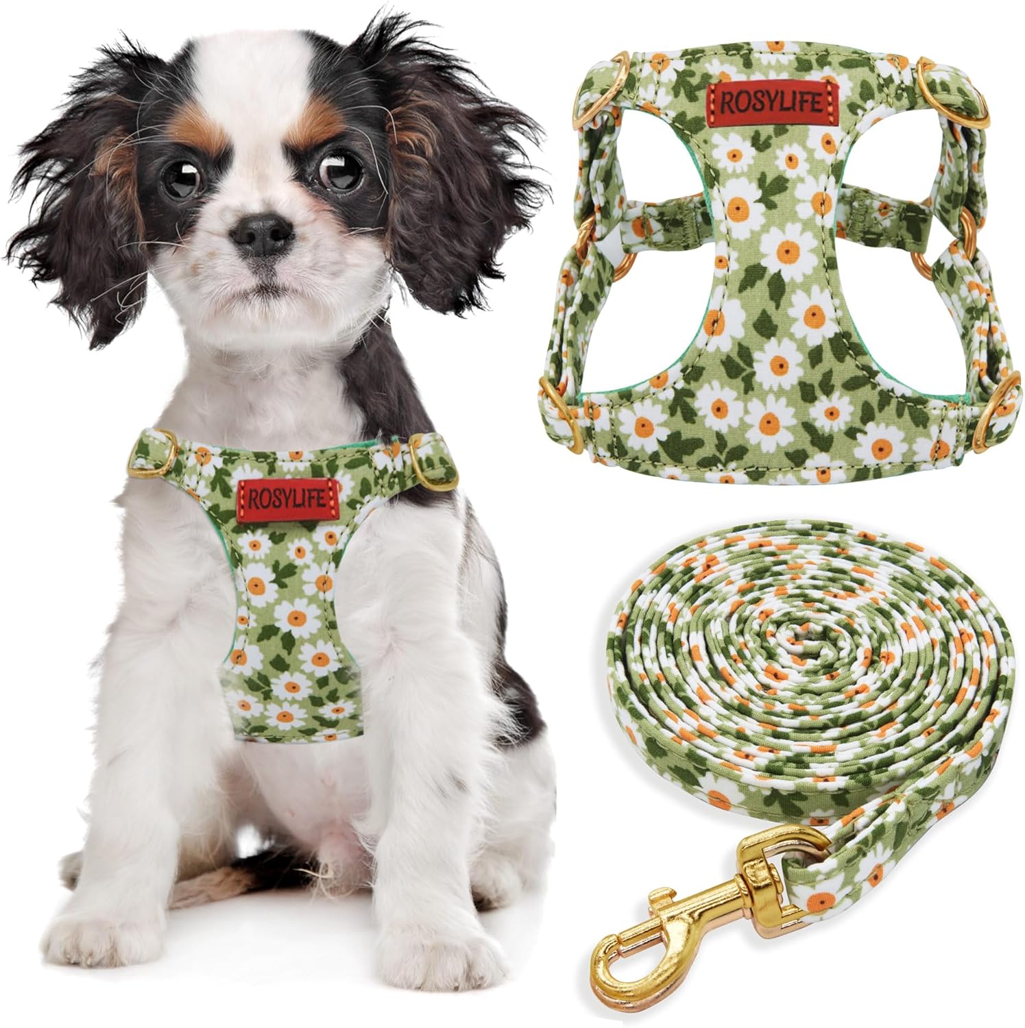 No Pull Dog Harness Adjustable Small pet Harness and Leash Set, Lightweight and Soft Dog Harness No Choke Escape Proof Pet Harness Vest (Green Daisy, XS)