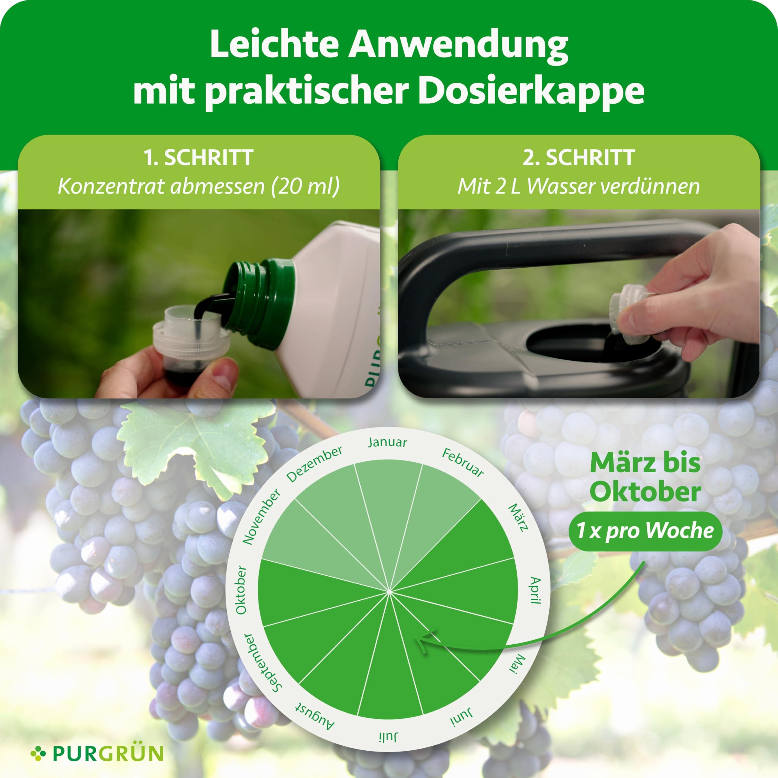 Bio-Weintrauben-Dünger 1 Liter – Organische Rezeptur – Premium-Flüssigdünger – NPK 4+1+7 – Mit Algenextrakt & Vinasse – Extra Kalium für aromatische Trauben – Ohne tierische Inhaltsstoffe