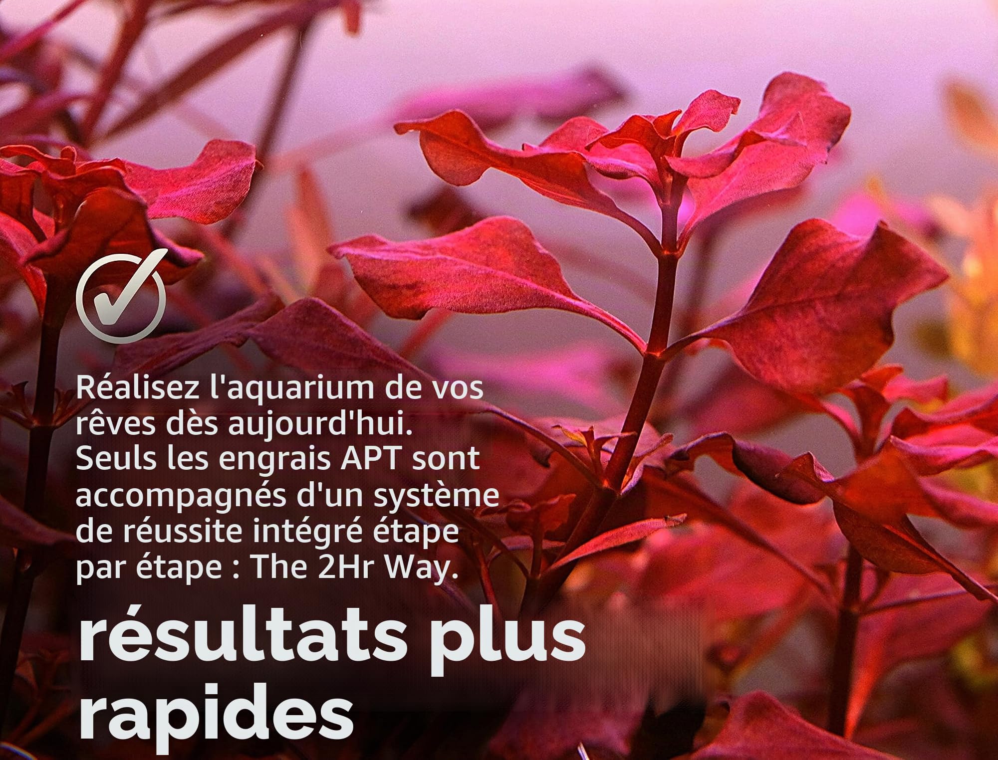 2Hr Aquarist Engrais liquide aquarium all in one APT E/Estimative Index in a bottle (1000ml)