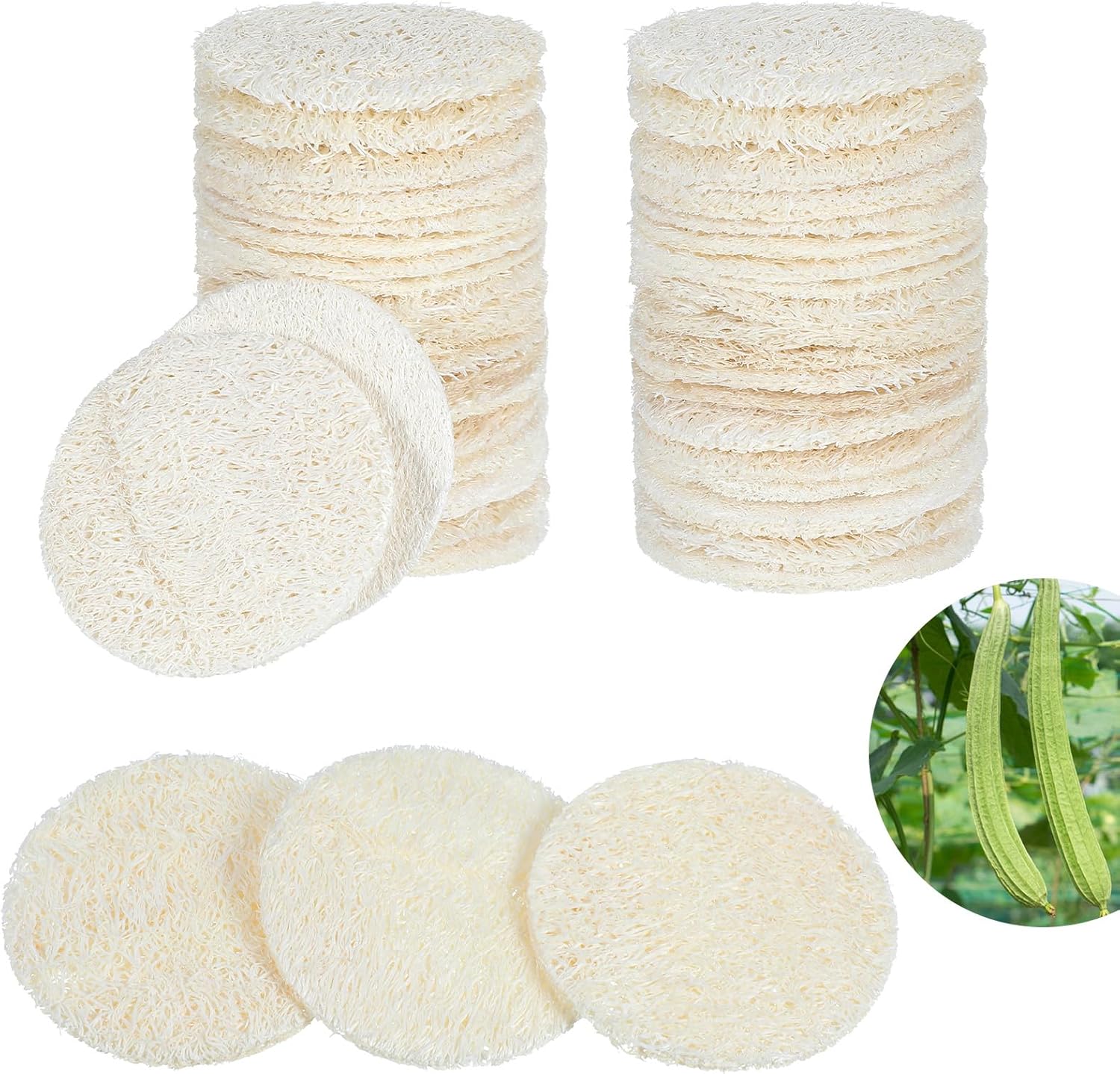 30 Pcs 2.17 Inch Natural Loofah Sponge Pads for Washing Face, Exfoliating Body Facial Scrub Pads for Makeup & Dead Skin Removal Cleansing Skin for Women and Men(One Side softened) 30 Pcs 2.17 Inch Natural Loofah Sponge Pads for Washing Face, Exfoliating Body Facial Scrub Pads for Makeup & Dead Skin Removal Cleansing Skin for Women and Men(One Side softened)