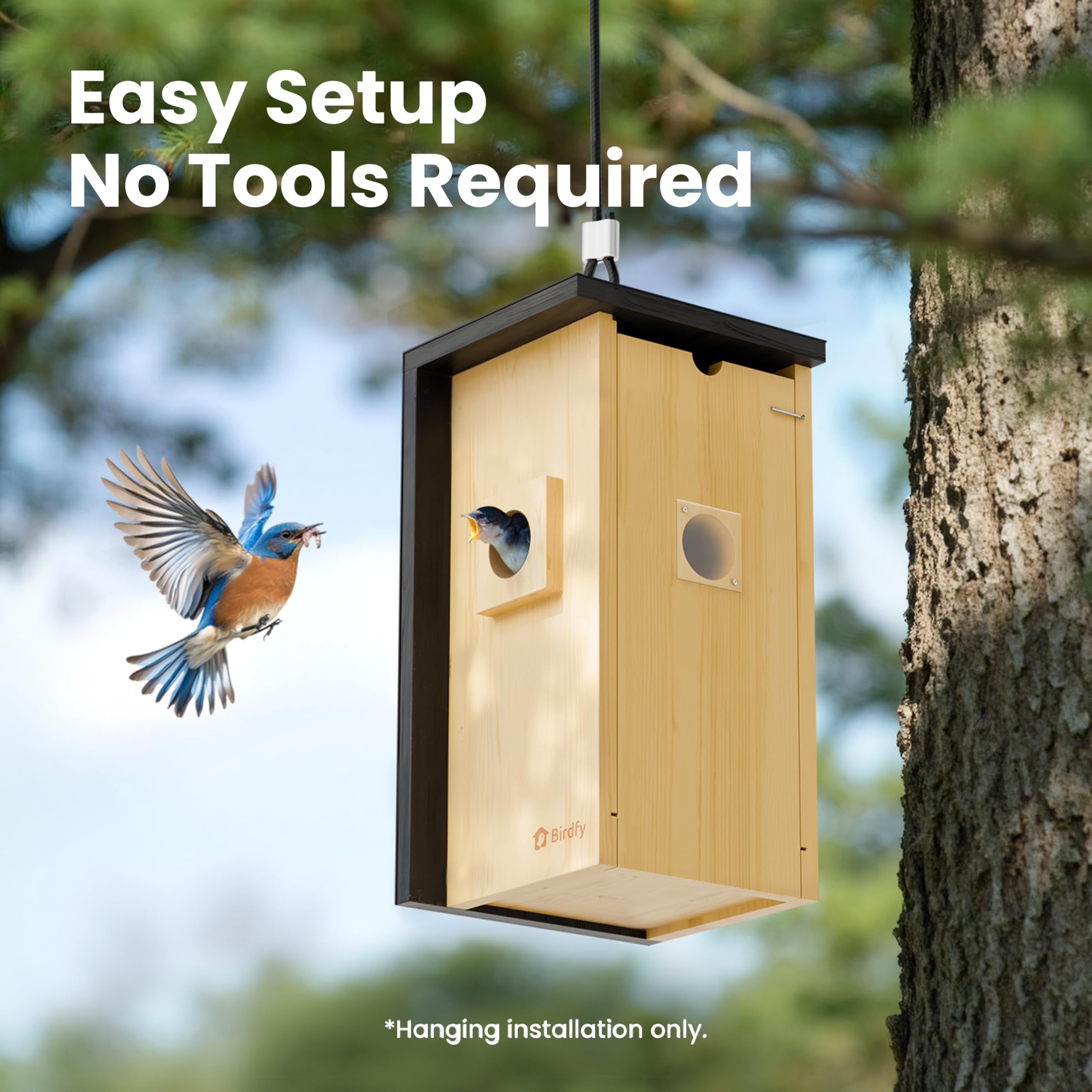Birdfy Vogelhaus mit Kamera,Nistkasten mit Kamera, 2 Millionen Pixel Outdoor-Vogelhaus-Kamera, Echtzeitbeobachtung des Nestbaus und der Brut von Vögeln, AI-Erkennung des Vogelverhaltens
