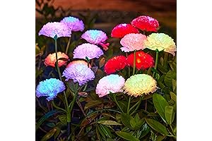 KOOPER Solar Lights Outdoor Garden, 4Pack Color-Changing Carnation Flower Solar Garden Lights