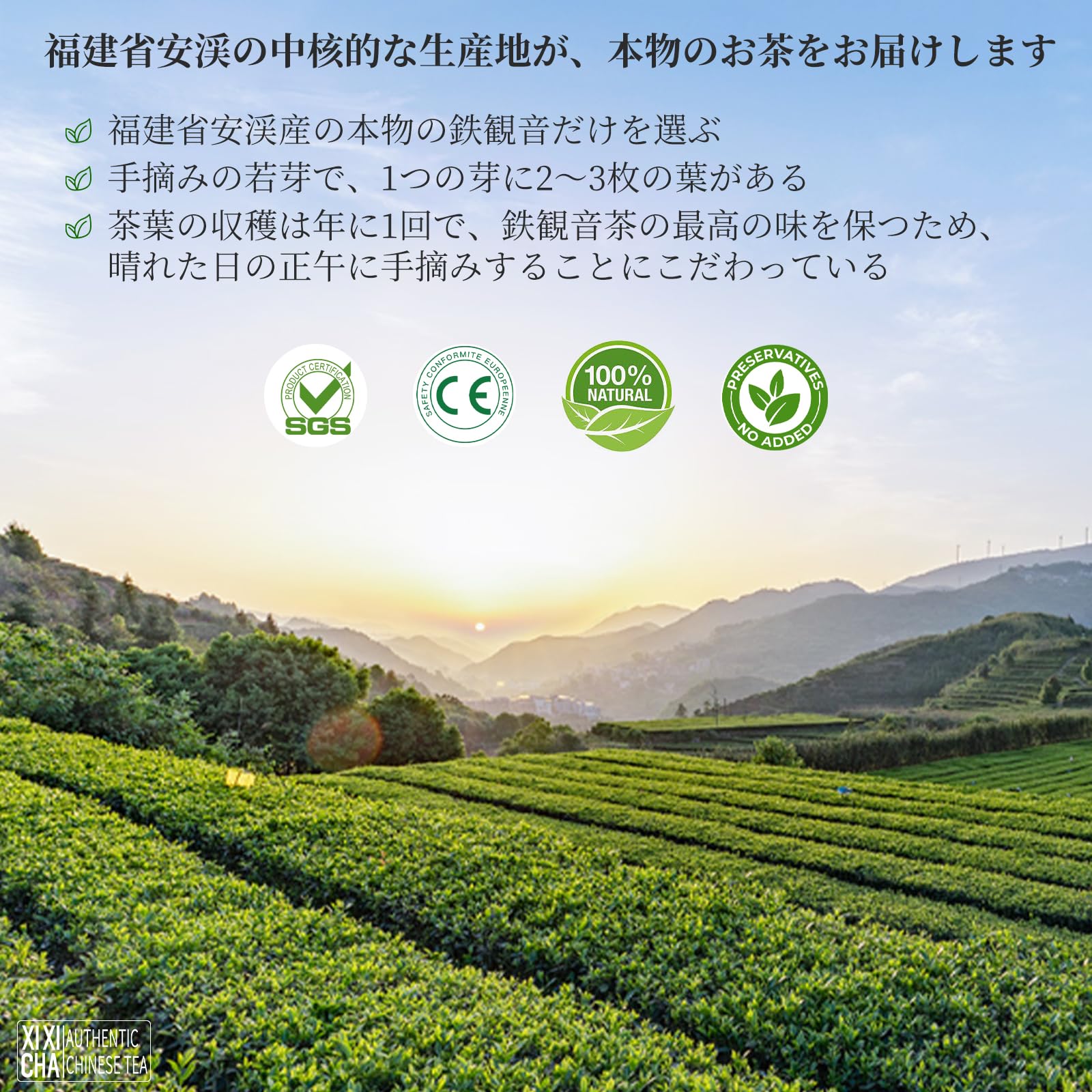 Amazon.co.jp: XIXICHA 鉄観音烏龍茶150g 安渓 铁观音 特級ウーロン茶