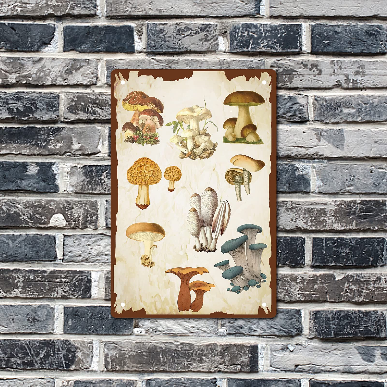 CREATCABIN Targa In Metallo Vintage Con Fungo E Luna - Decorazione Murale Per Bar, Cucina E Caffè - 30x20cm - 4