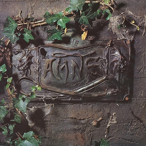 Wait for the Blackout