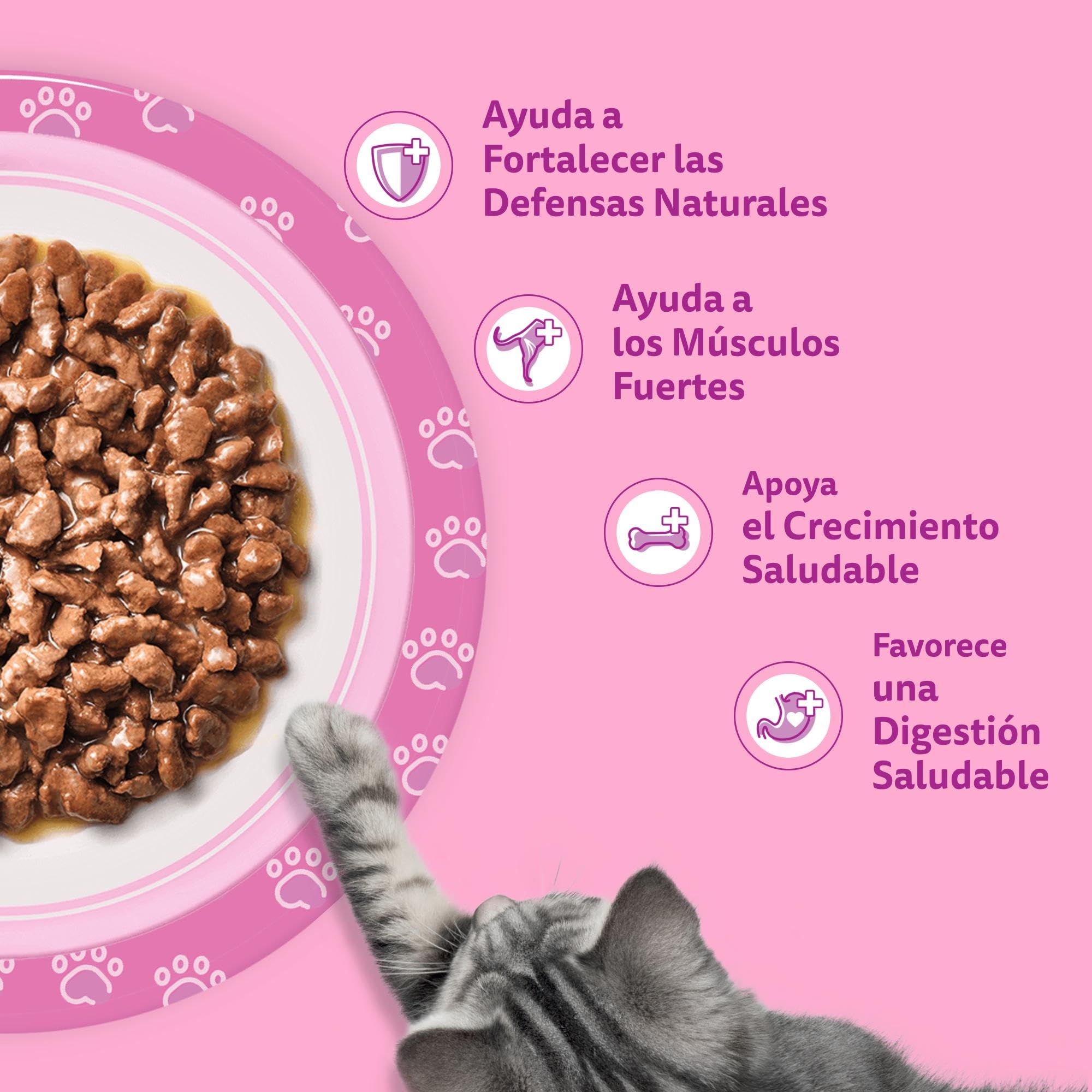 WHISKAS Duo Comida húmeda en Salsa Gatos júnior Comb. clásicas - 13 x 4 bolsitas x 85g