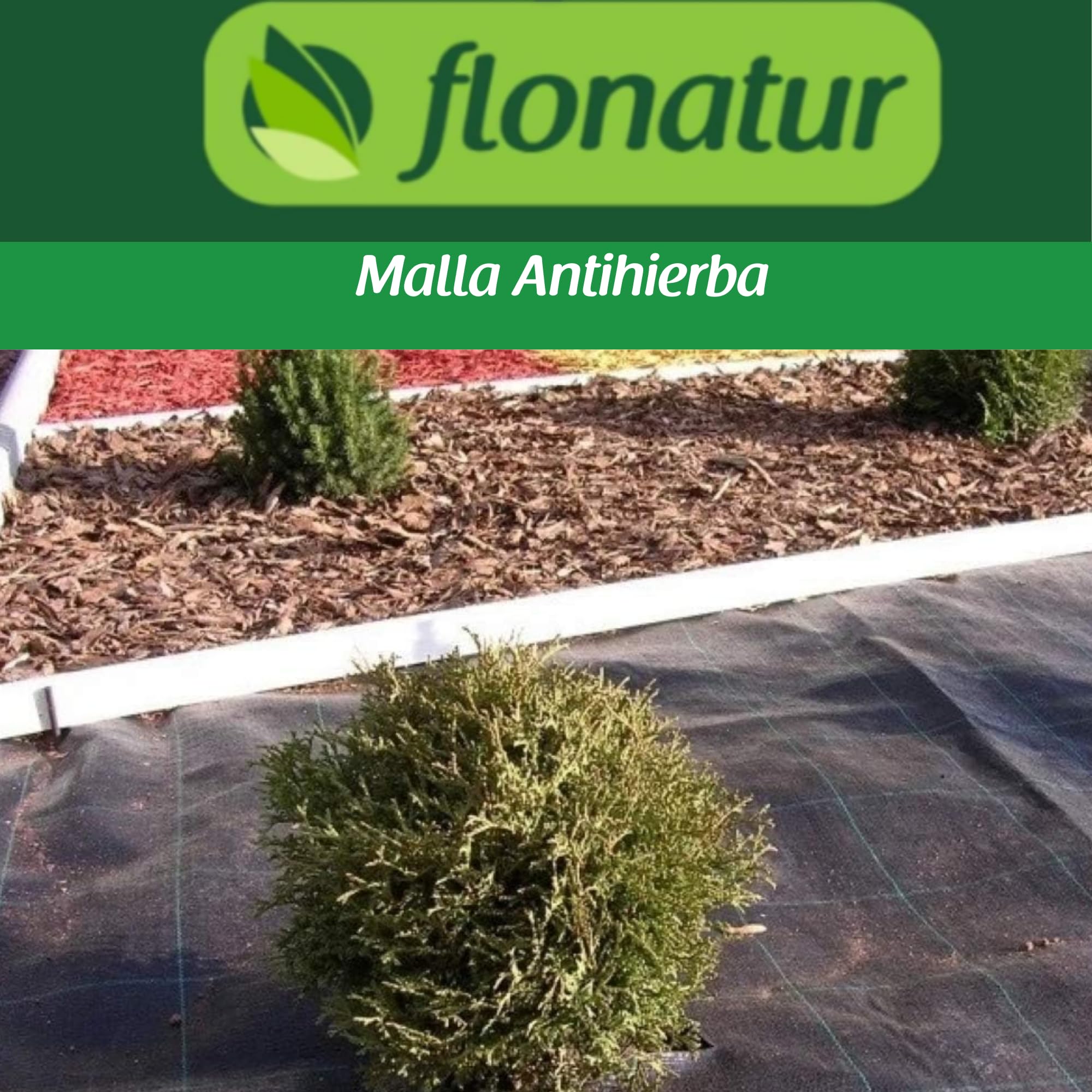 Malla Antihierba 75 Gramos | Malla Geotextil Maleza y Malas Hierbas Ideal Huerto | Estable a Rayos UV y Permeable| Duradera y Fuerte | Nos Avalan Nuestros Clientes |Rollo 2x50m,