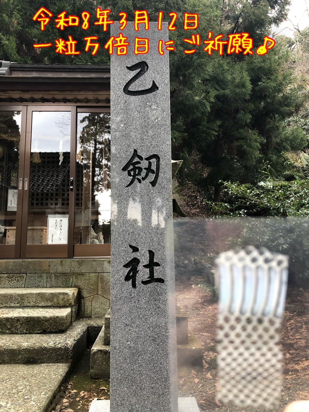 Amazon.co.jp: 笑い家謹製【ご祈願！ 天然物！】白蛇の抜け殻 日本三大