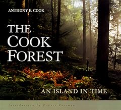 The Cook Forest: An Island in Time