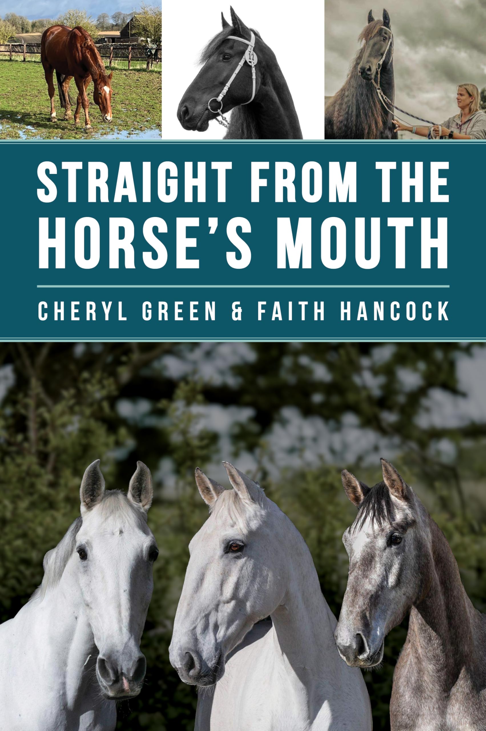 Faith Hancock - Straight From the Horse's Mouth - Paperback - K245z