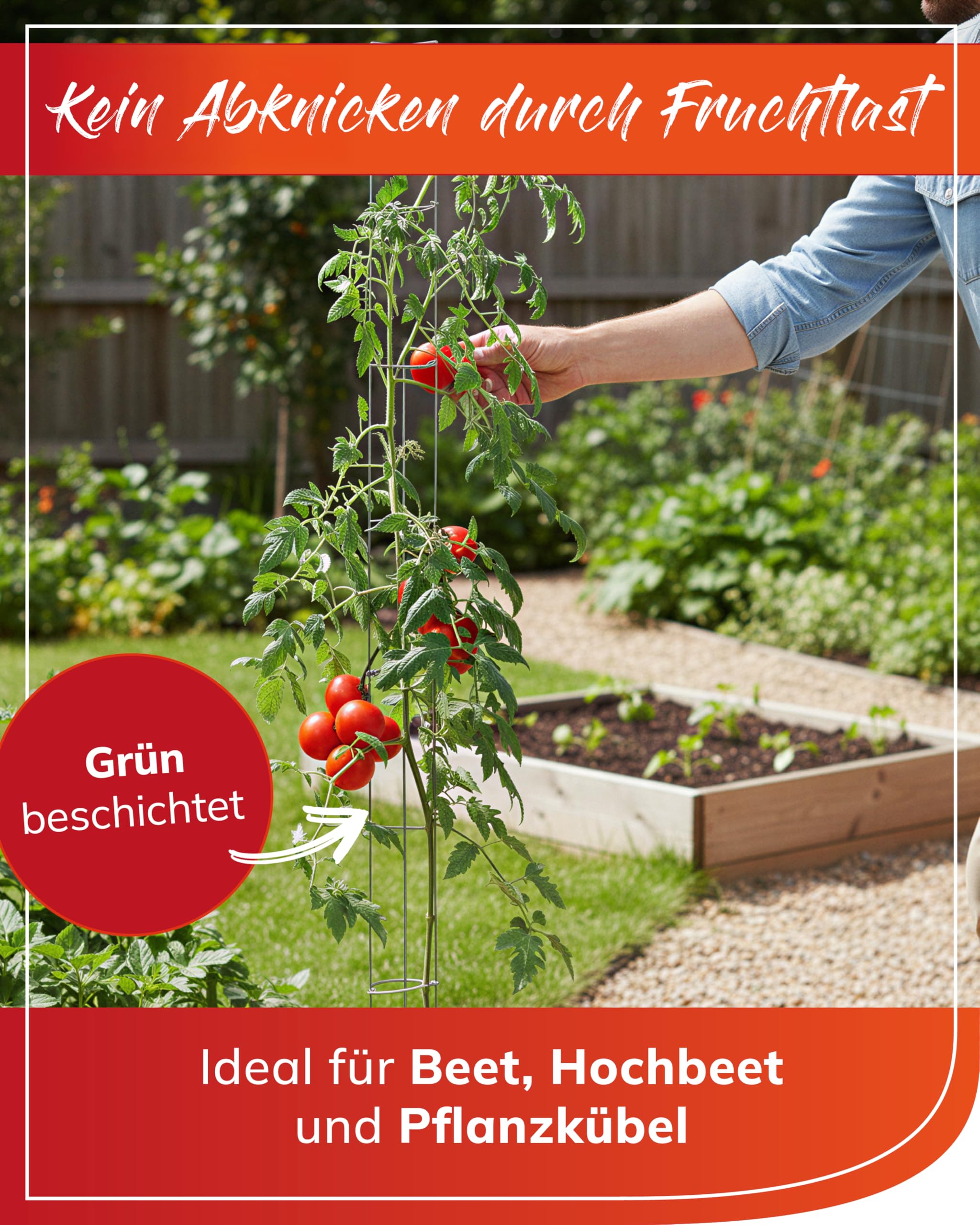 bellissa Tomatenturm Rankhilfe Tomaten Höhe 5 Stück Metall 160 cm