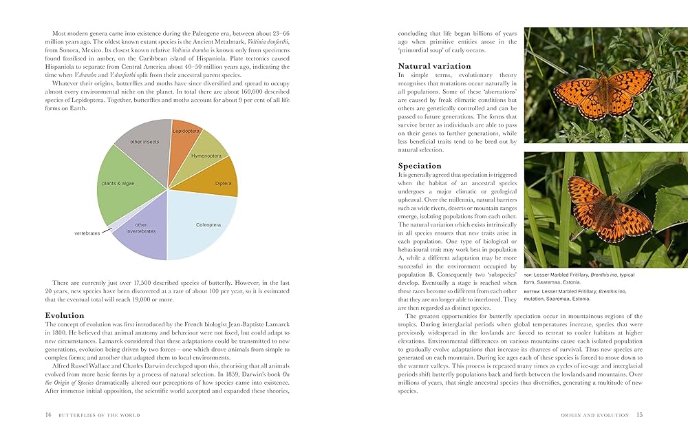 Butterflies of the World: Hoskins, Adrian: 9781921517334