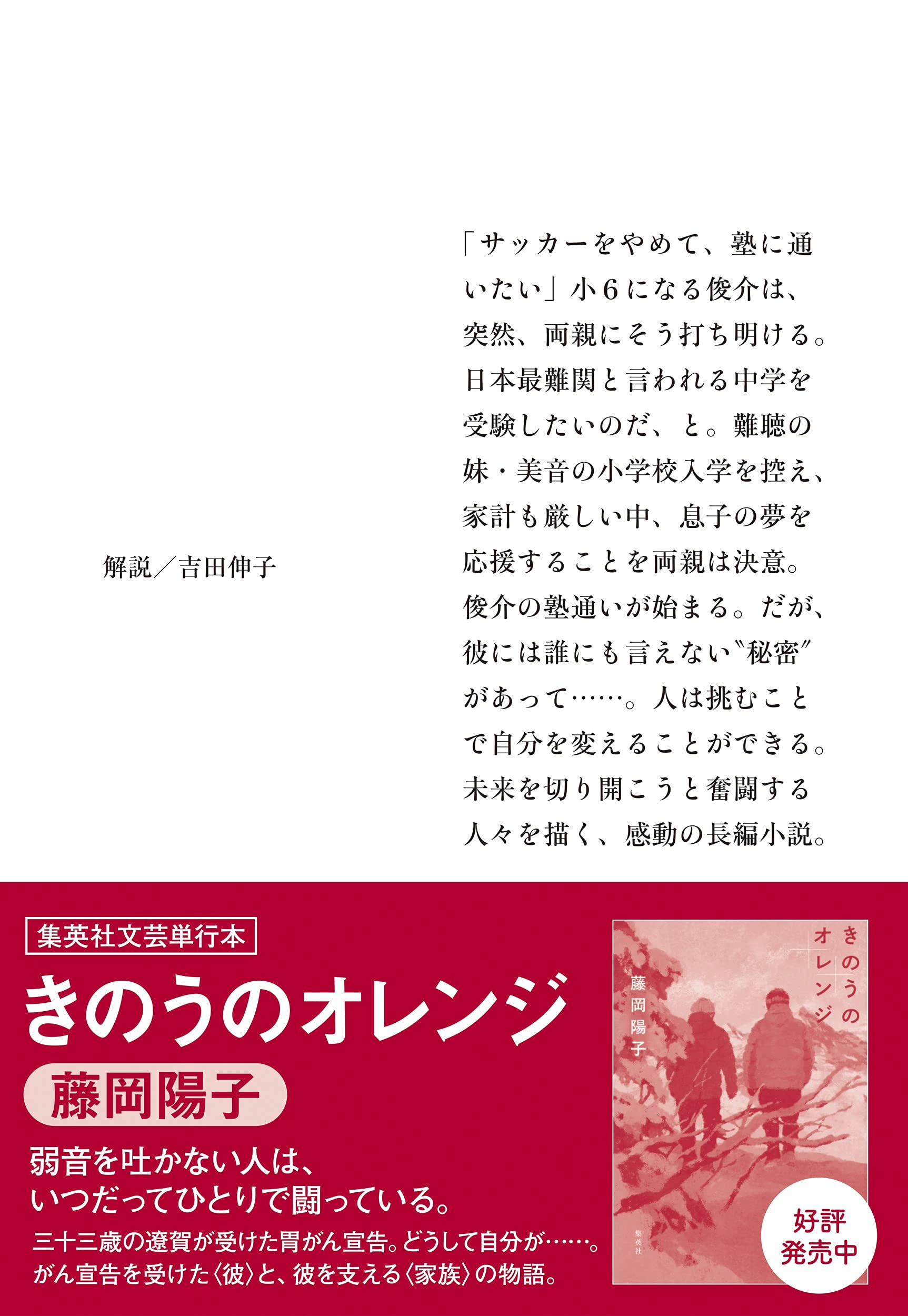 金の角持つ子どもたち 集英社文庫 藤岡 陽子 本 通販 Amazon