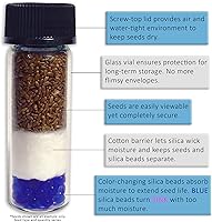 Vista 3 de Semillas de artemisia tridentata (Artemisia tridentata) más de 100 semillas de hierbas medicinales en cápsulas de semillas congeladas