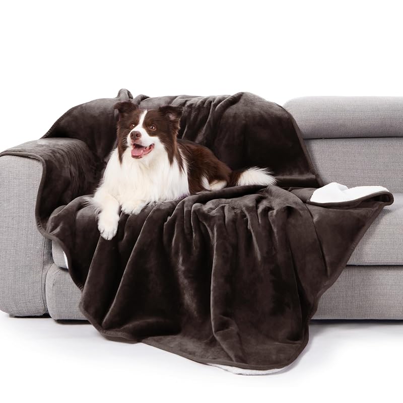 Manta impermeável para cães e gatos em flanela e Sherpa gogobunny 127 x 152,4 cm Marrom-escuro