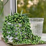 Ensemble de 3 Assortiment de petites plantes à succulent en pot Faux Aloe String of Pearls Hop Succulents en béton géométrique gris Pots en céramique pour cadeaux Bureau de la maison moderne Table intérieure extérieure Greenery Decor