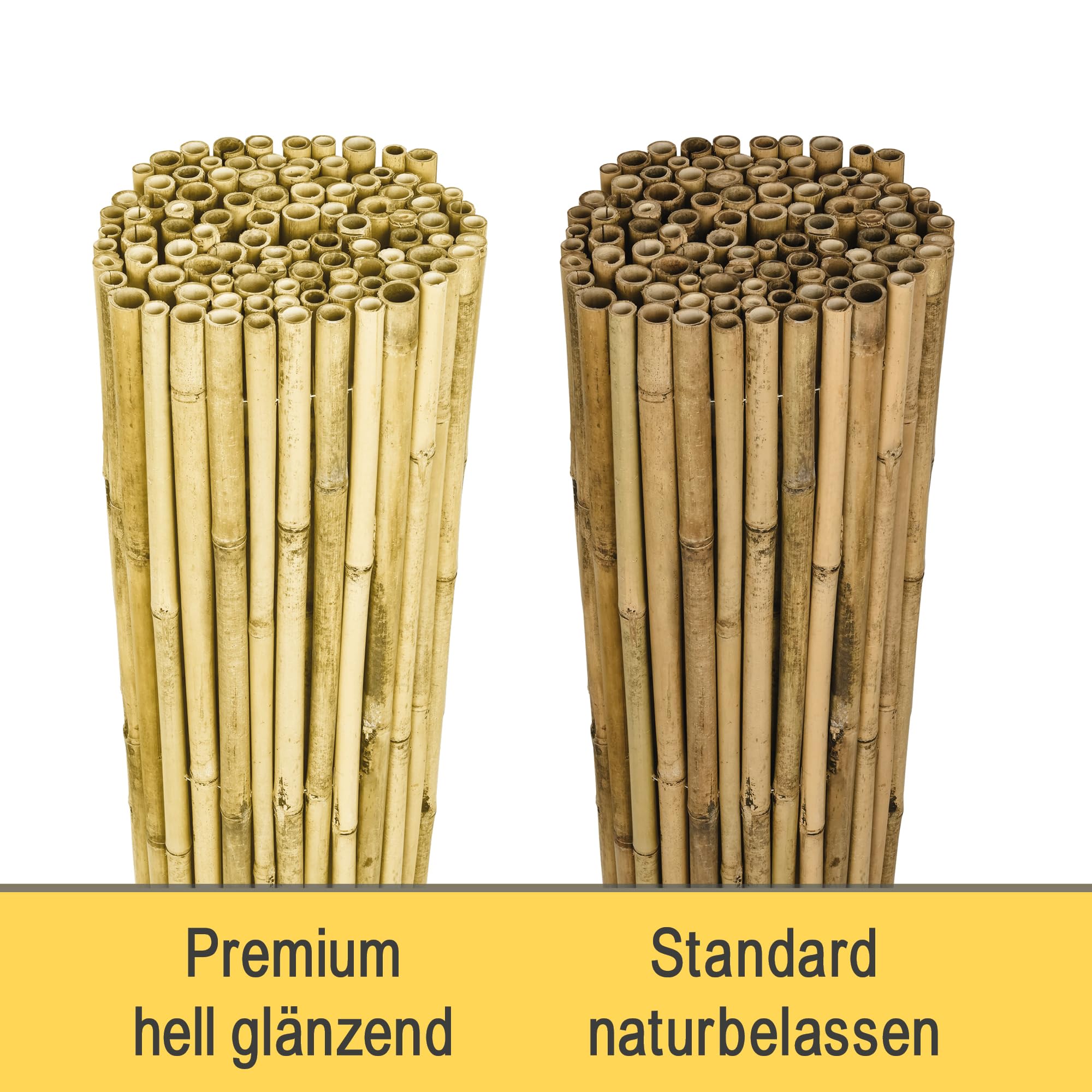 Sol Royal Hell Glänzend Premium Bambus Sichtschutz 160 hoch – Hochwertig Bambusrohre Ø2-3cm Witterungsbeständig – Bambuszaun Gartensichtschutz Balkon Sichtschutz Bambus Sichtschutzzaun 160x250cm – B99