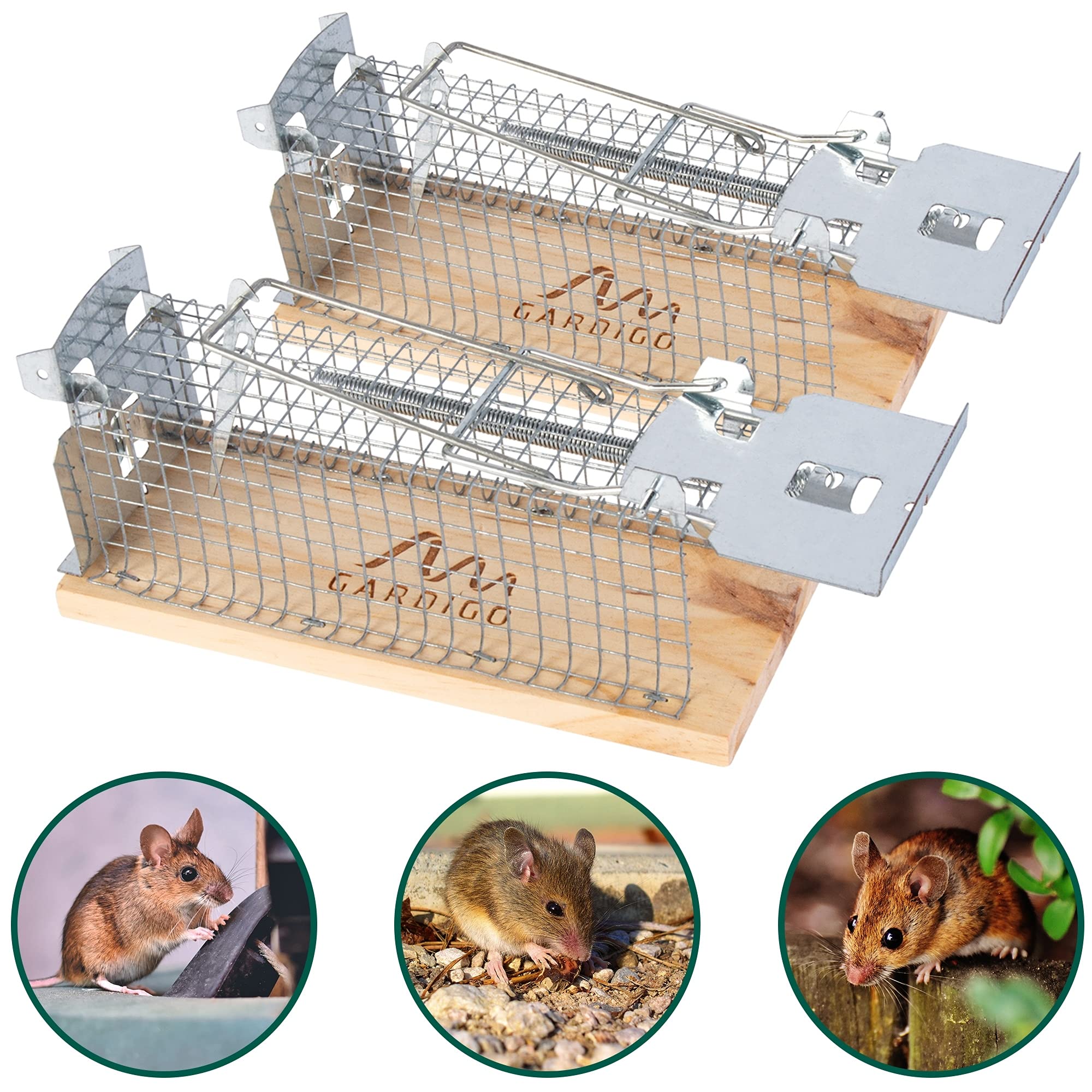 GARDIGO® 2 Unidades I Trampas para Ratones Vivos Sin Muerte I Cepo de Caza Jaula Atrapa Ratones sin Dañarlos I Reutilizable para Interior y Exterior I 15 x 6 x 7,5 cm