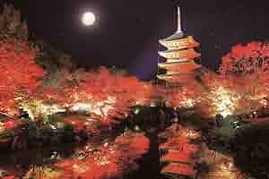 京都 大覚寺　954ピース ジグソーパズル 京都 大覚寺 954ピース ジグソーパズル
