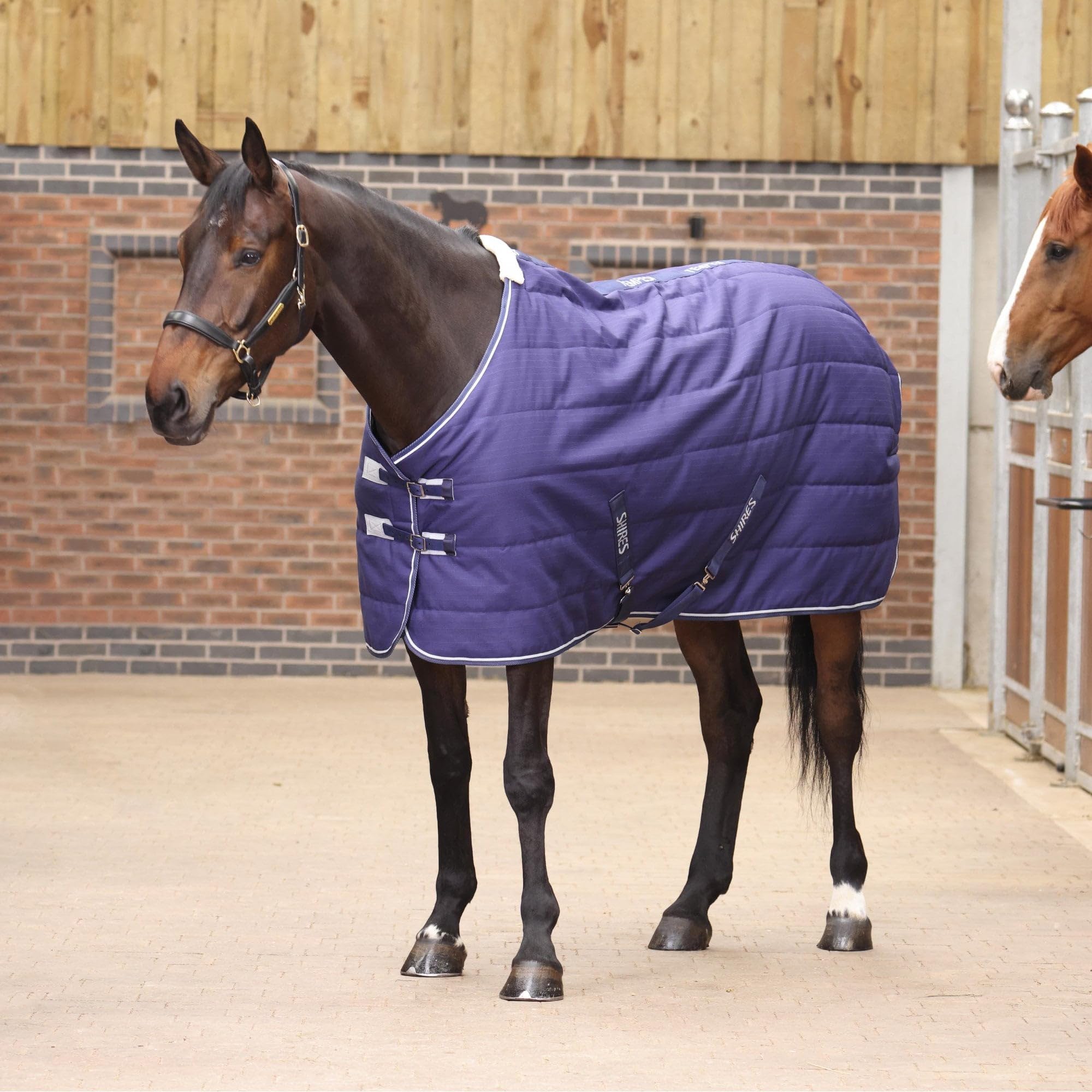 Shires Tempest Original 100 Stable Rug - Navy Blue