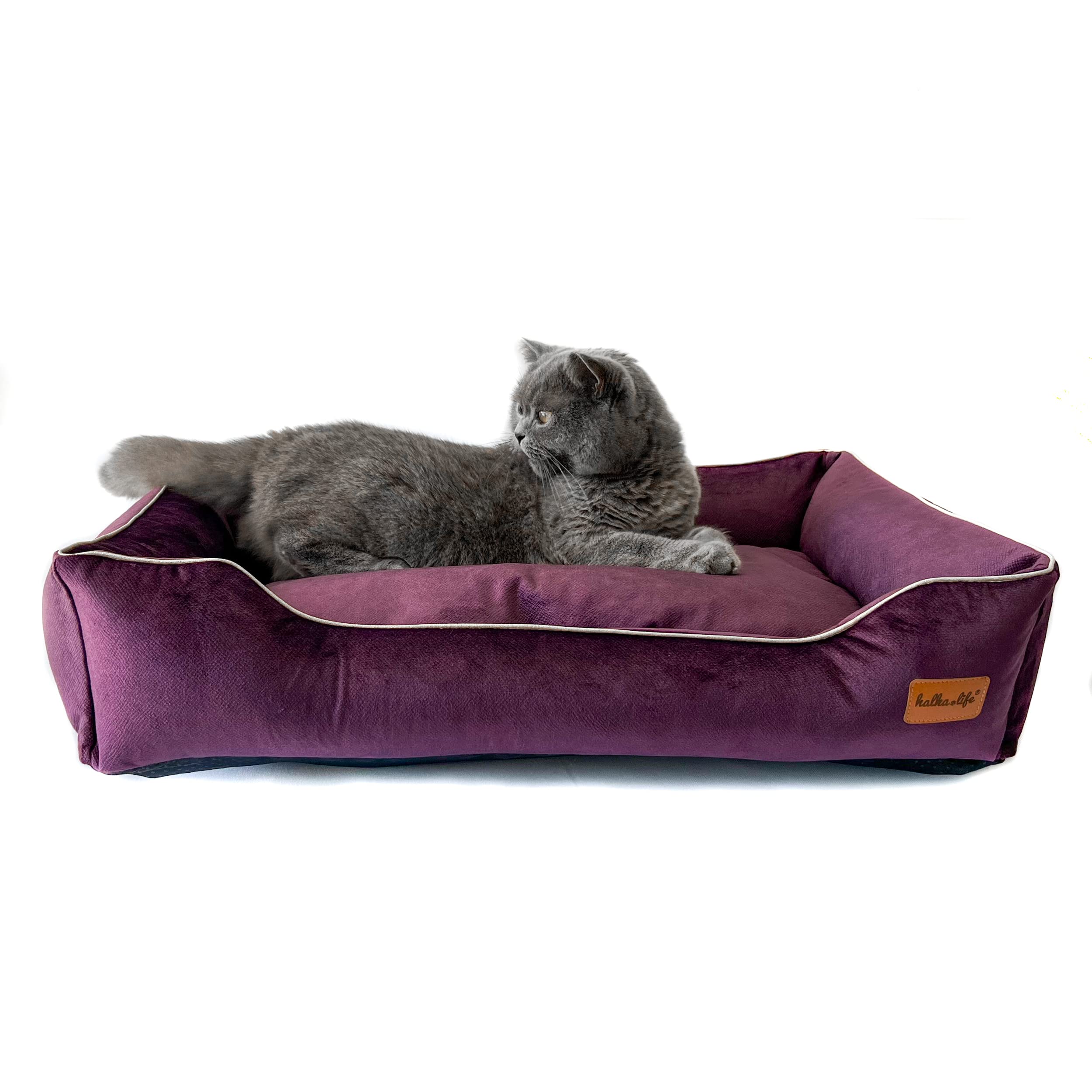 Divano per Cani Impermeabile e Resistente all'abrasione. Divano Lussuoso e Glamour per Un Cane o Un Gatto. Letto Morbido per Cani. (S (60x40x15 cm), Prugna)