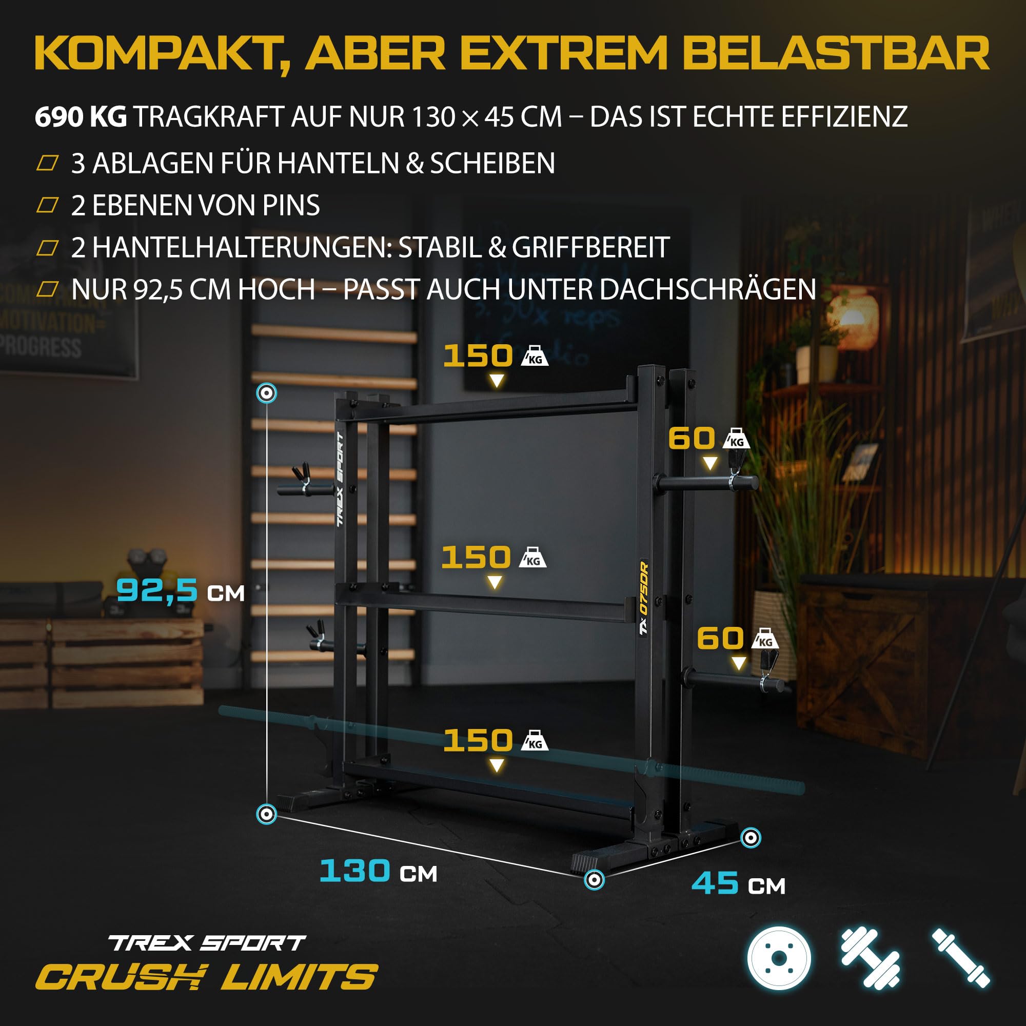 TREX SPORT Hantelablage Gewichteständer für Home Gym bis 690 kg TX-075DR | Stahl Hantelständer für Hantelscheiben, Hantelstangen, Kurzhanteln, Trainingszubehör, stabil, rutschfest