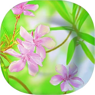 Dajar Talerz do zupy Freesia Luminarc, szkło, różowy/zielony, 22 x 22 x 3,8 cm