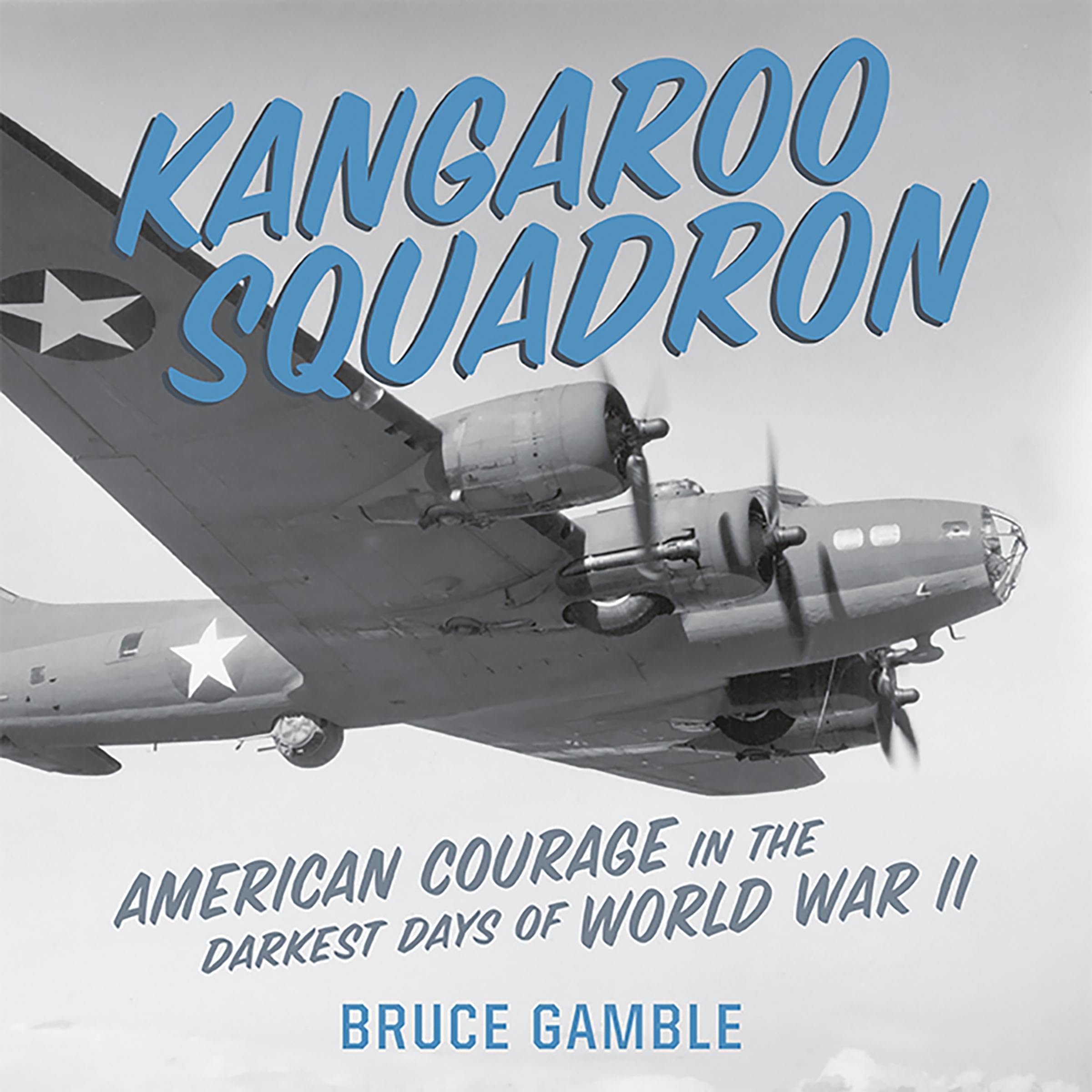 Cover art for Kangaroo Squadron