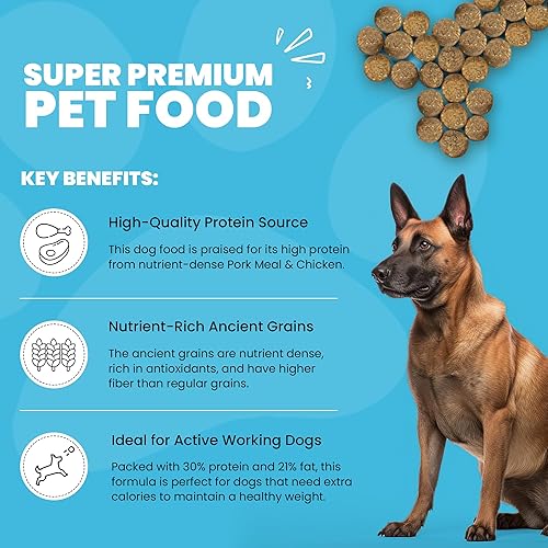 Miniatura 3 de Muenster Receta de granos antiguos con pollo y cerdo, alimento seco sin gluten para perros con pollo y cerdo, croquetas completas y equilibradas sin