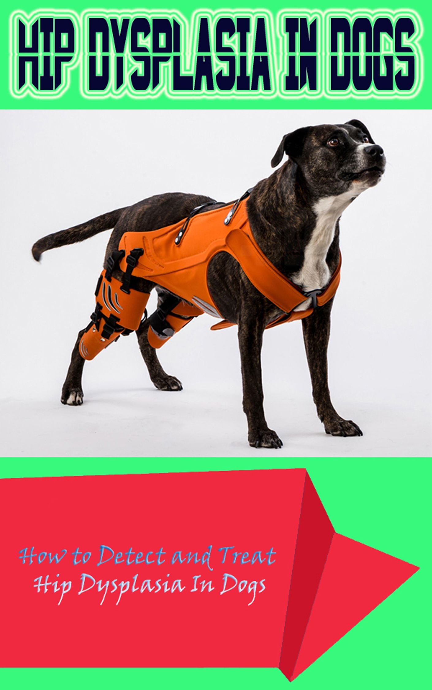 Buy HIP Dysplasia in Dogs How to Detect and Treat Hip Dysplasia In