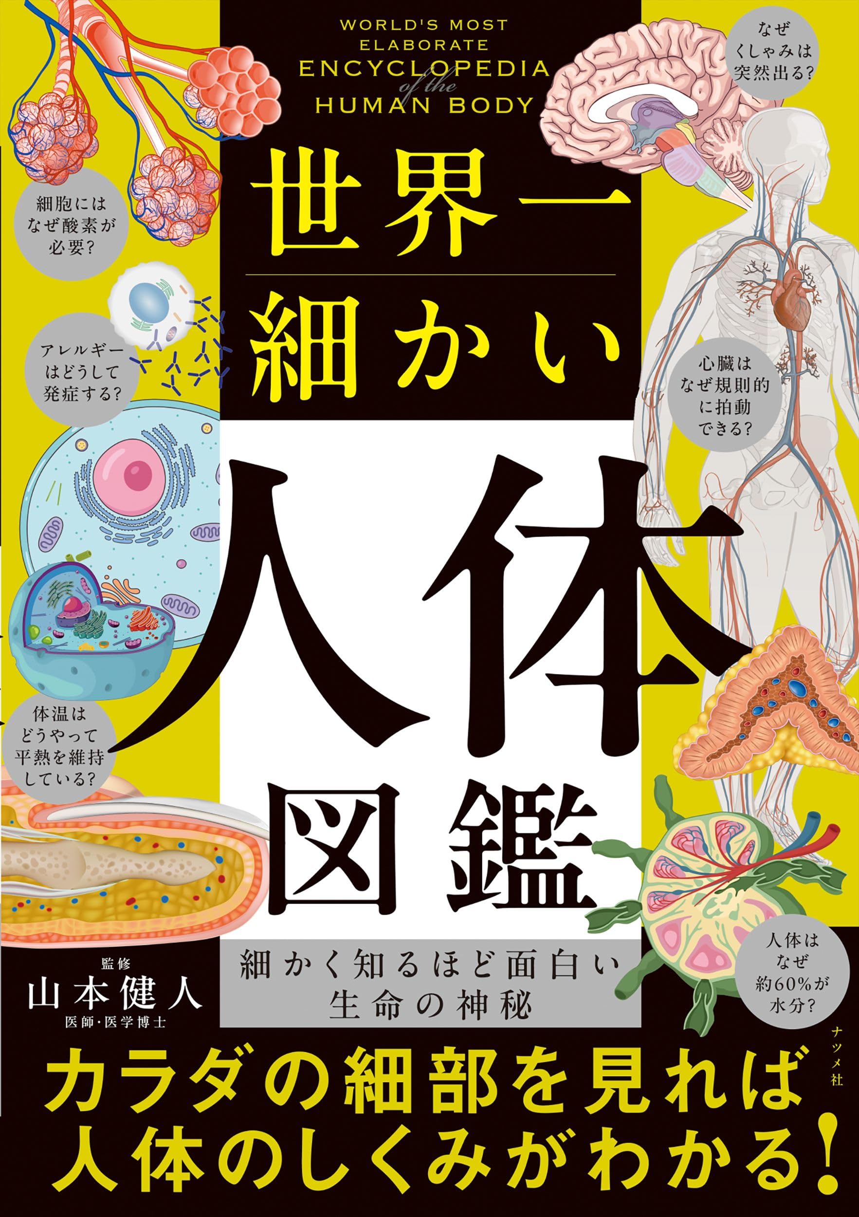 世界一細かい人体図鑑 | 山本 健人 |本 | 通販 | Amazon