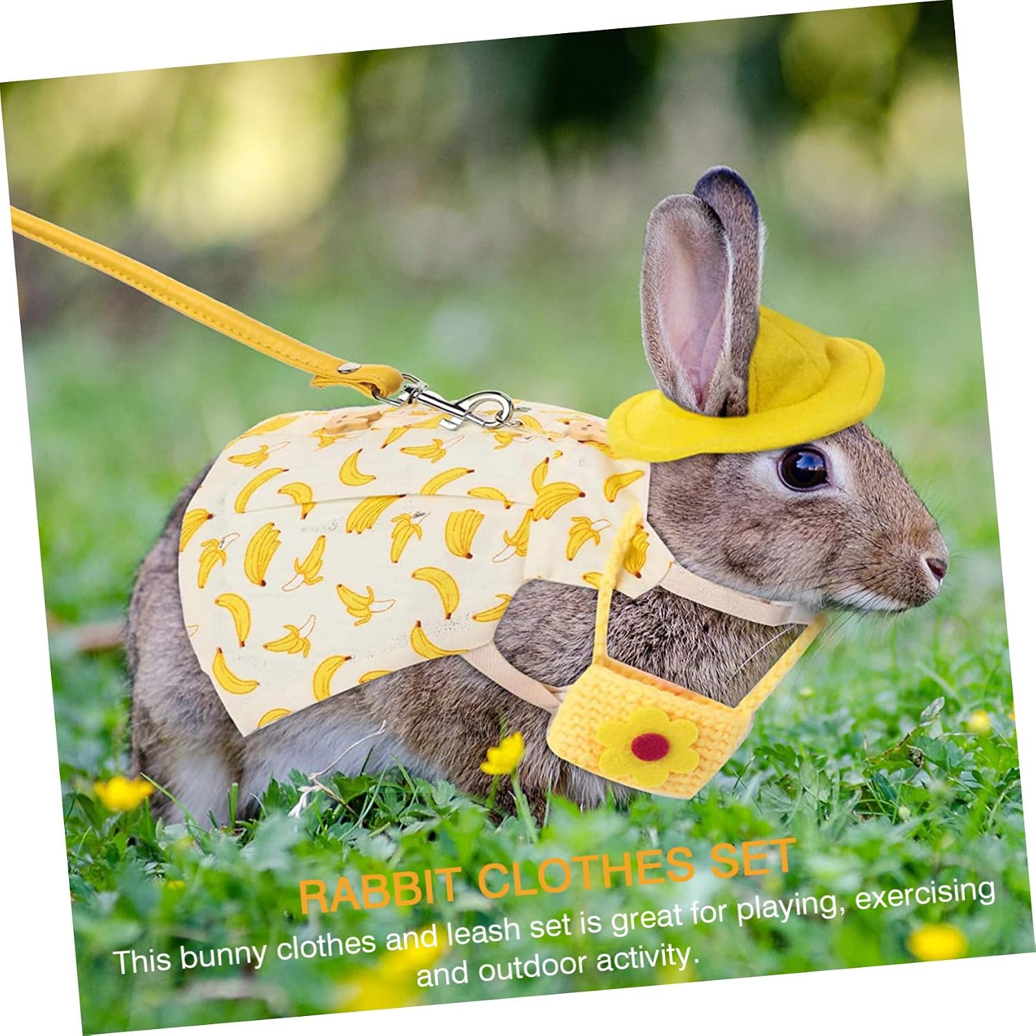 Happyyami 2 Sets Bunny Clothes Set for Rabbit Dress Up Includes Leashes Hats Accessories Breathable for Comfort for Walking Pets Watermelon Banana