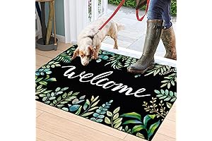 ASPMIZ Decorative Welcome Doormat for Spring and Summer