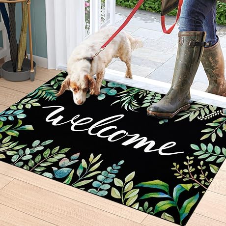 ASPMIZ Decorative Welcome Doormat for Spring and Summer