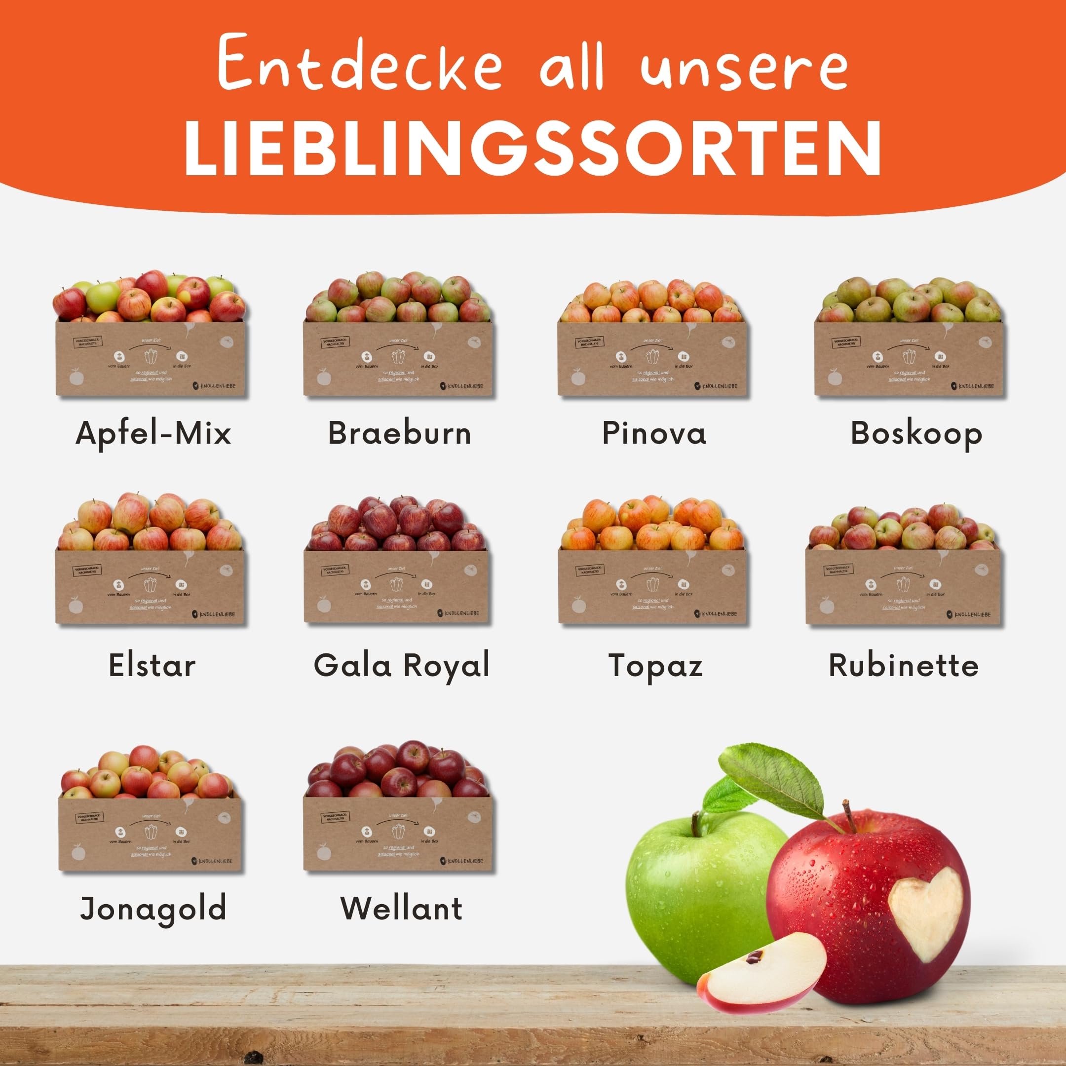 Apfelbox Gala Royal – 7 kg frische Äpfel direkt vom Obsthof | süß, knackig & aromatisch | regional, plastikfrei & nachhaltig | Saftiger Apfel | Versand immer Dienstag