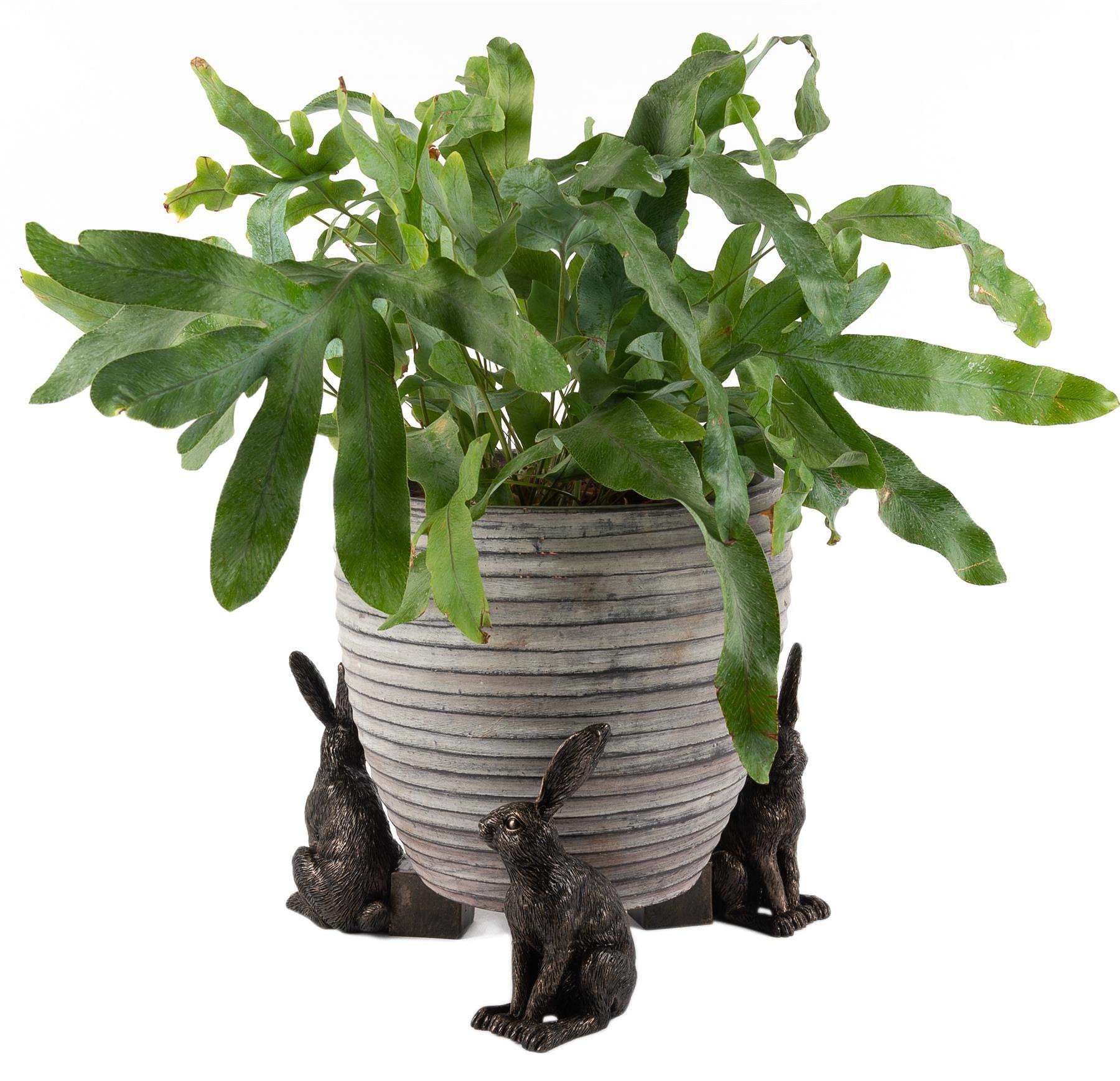 Jardinopia Large Sitting Hare Plant Pot FeetSet Of 3 from B&Q