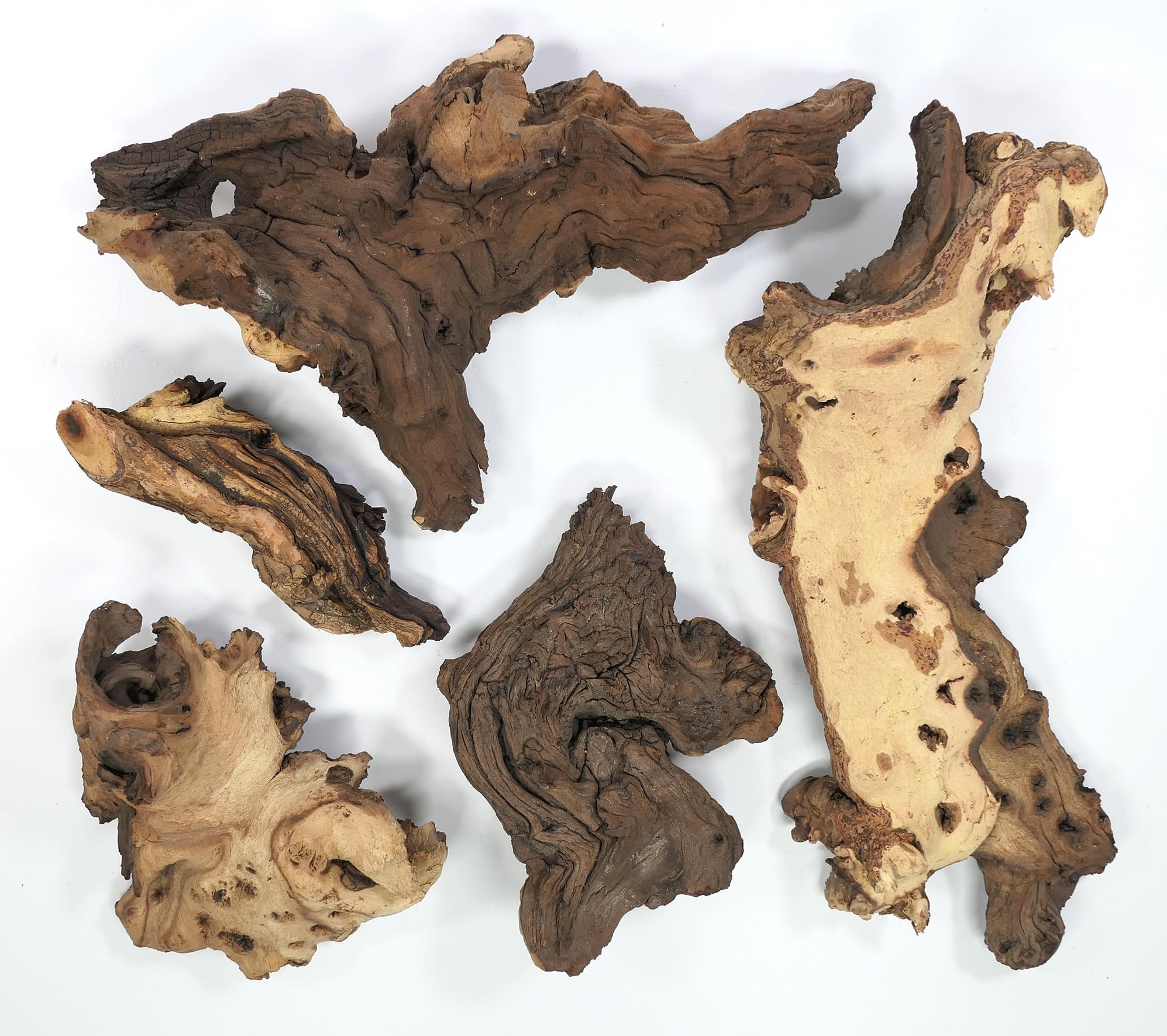 Korzeń Mopani rozmiar M // korzeń prawdziwego drewna dekoracja akwarium krewetki ryby ozdobne Hard Scape 20 cm - 30 cm (mangrowa sawanna)