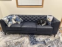 Review Image by Joey Joey