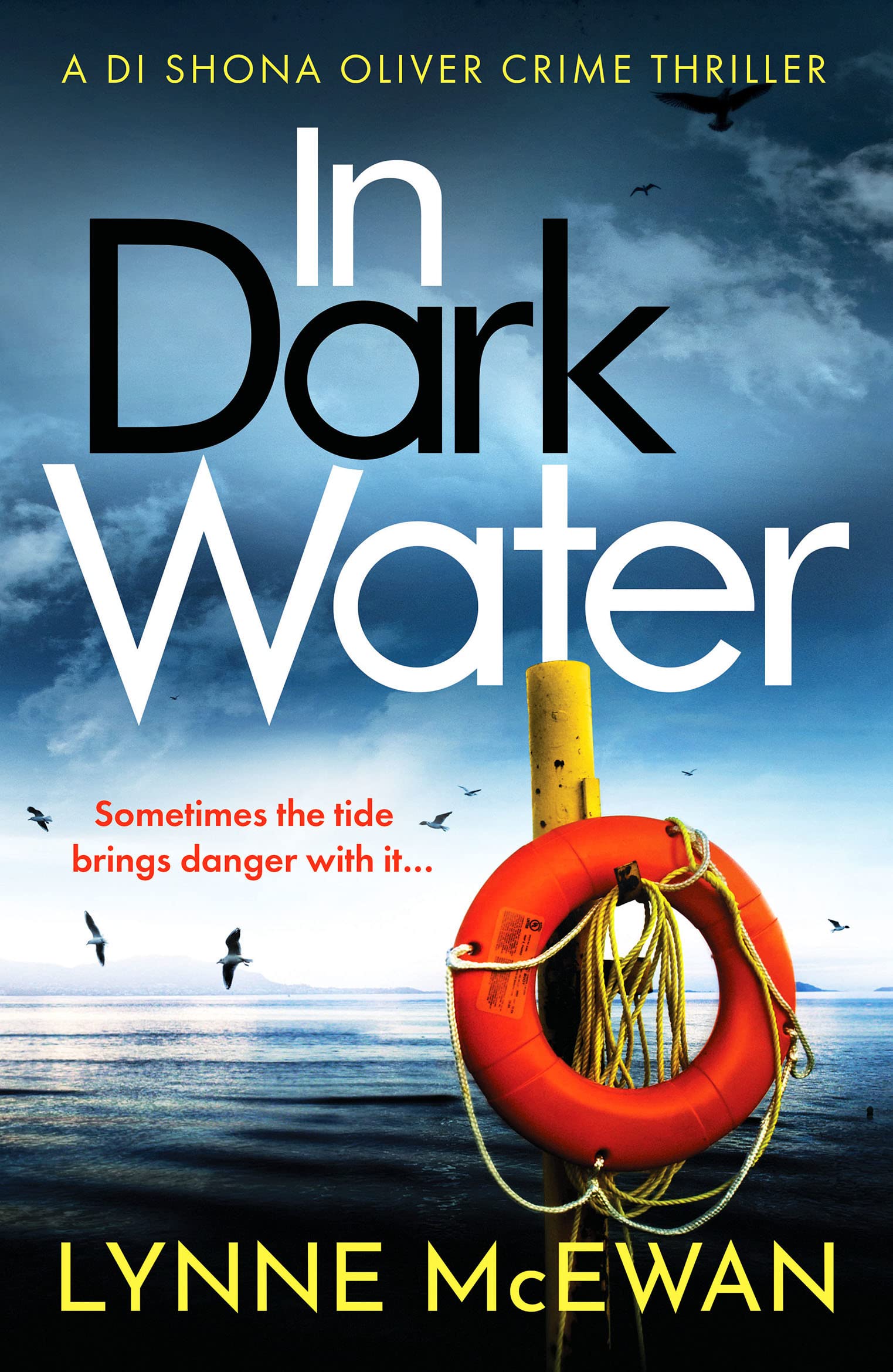 In Dark Water by Lynne McEwan Paperback Book Crime Thriller, Brand New