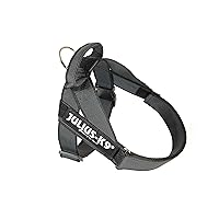 Julius-K9, IDC Color & Gray Belt Harness