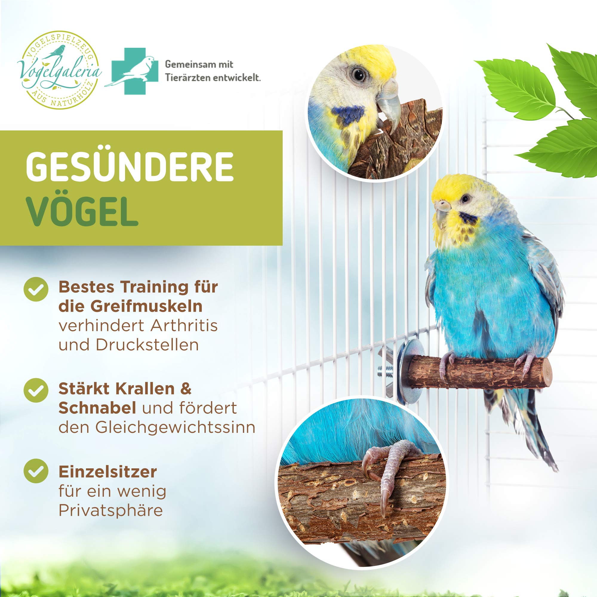Vogelgaleria® 10 teiliges Set mit GRATIS EINZELSITZER, Natur Sitzstangen Vogelschaukel, Sitzbrett, Anflugstange und Sitzseil für Wellensittich, Nymphensittich | Zubehör Vogelkäfig Spielzeug