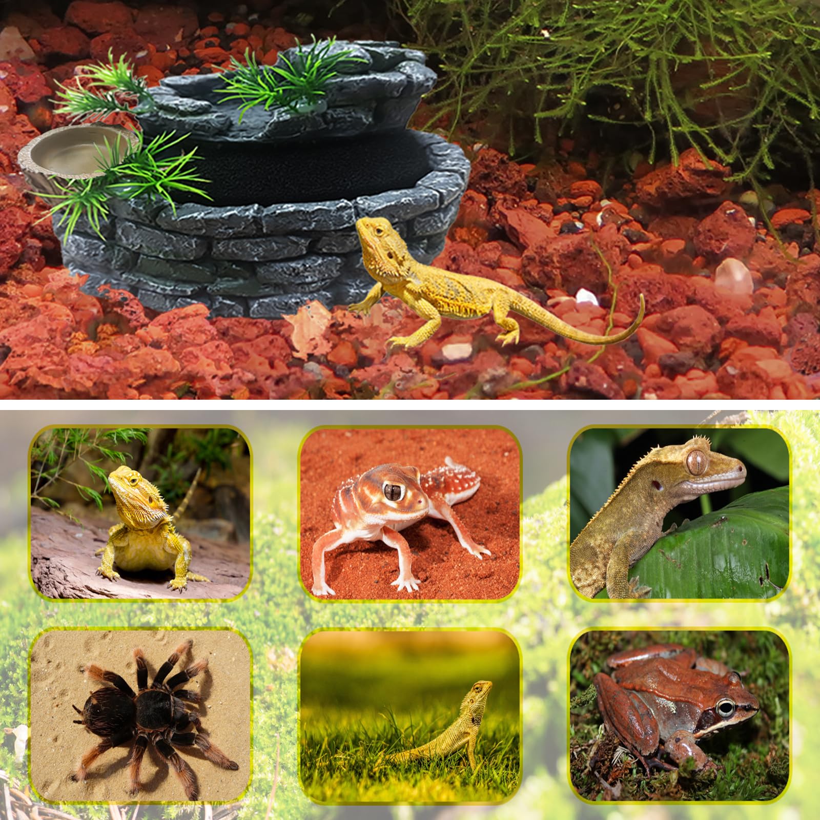 Fuente de agua para reptiles de 550 ml con plato de comida, fuente de terrario para dragón barbudo, geco, camaleón, lagarto, rana de árbol y tortuga, mantiene el agua limpia, dispensador