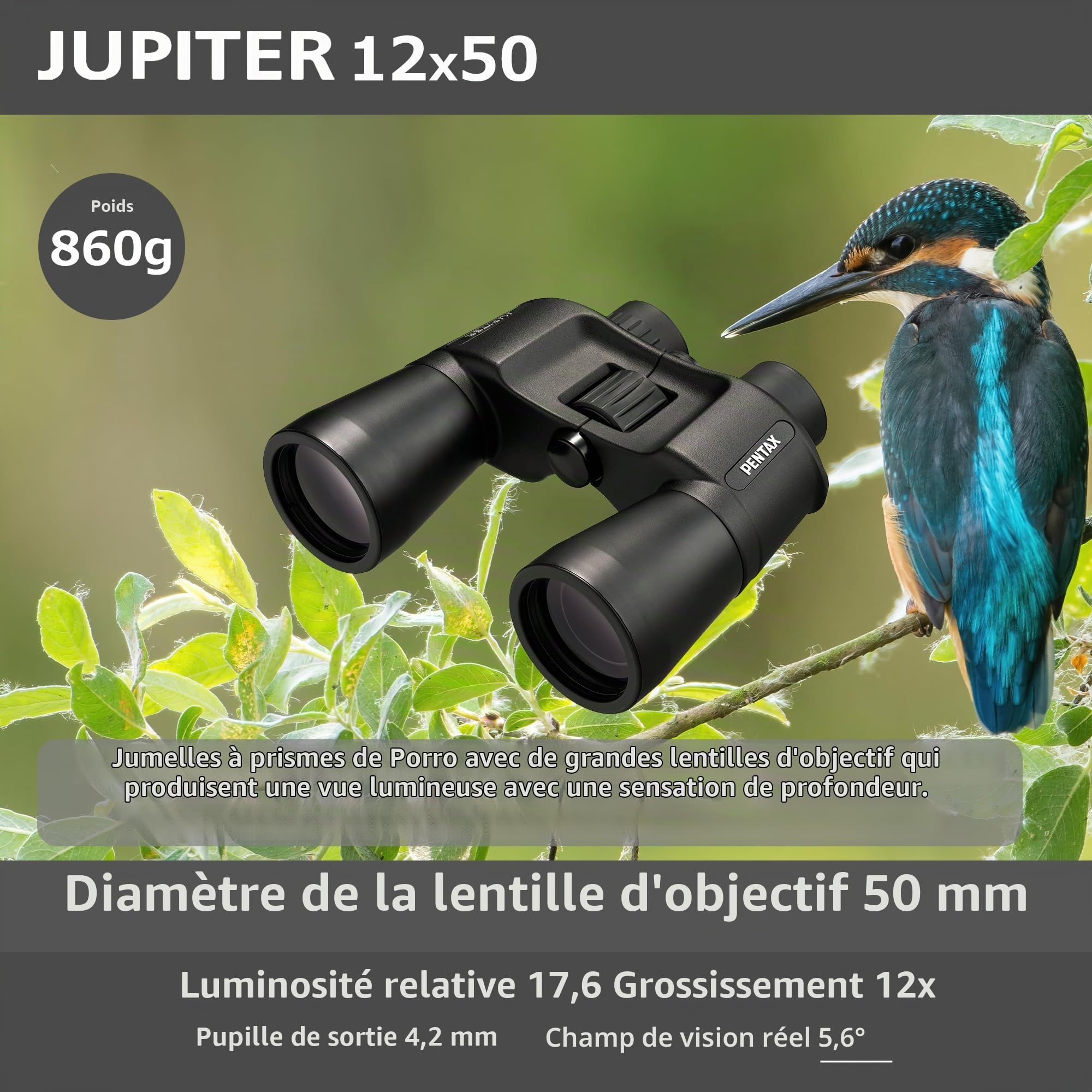 Pentax Jupiter 12x50 Noir Jumelles d’Observation Prisme de Porro Grande Ouverture