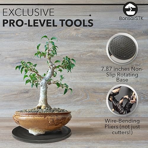 Miniatura 5 de Kit de herramientas de bonsái - Mini herramientas de jardín, kit de alambre de bonsái, alfombrilla de trasplante para plantas de interior,