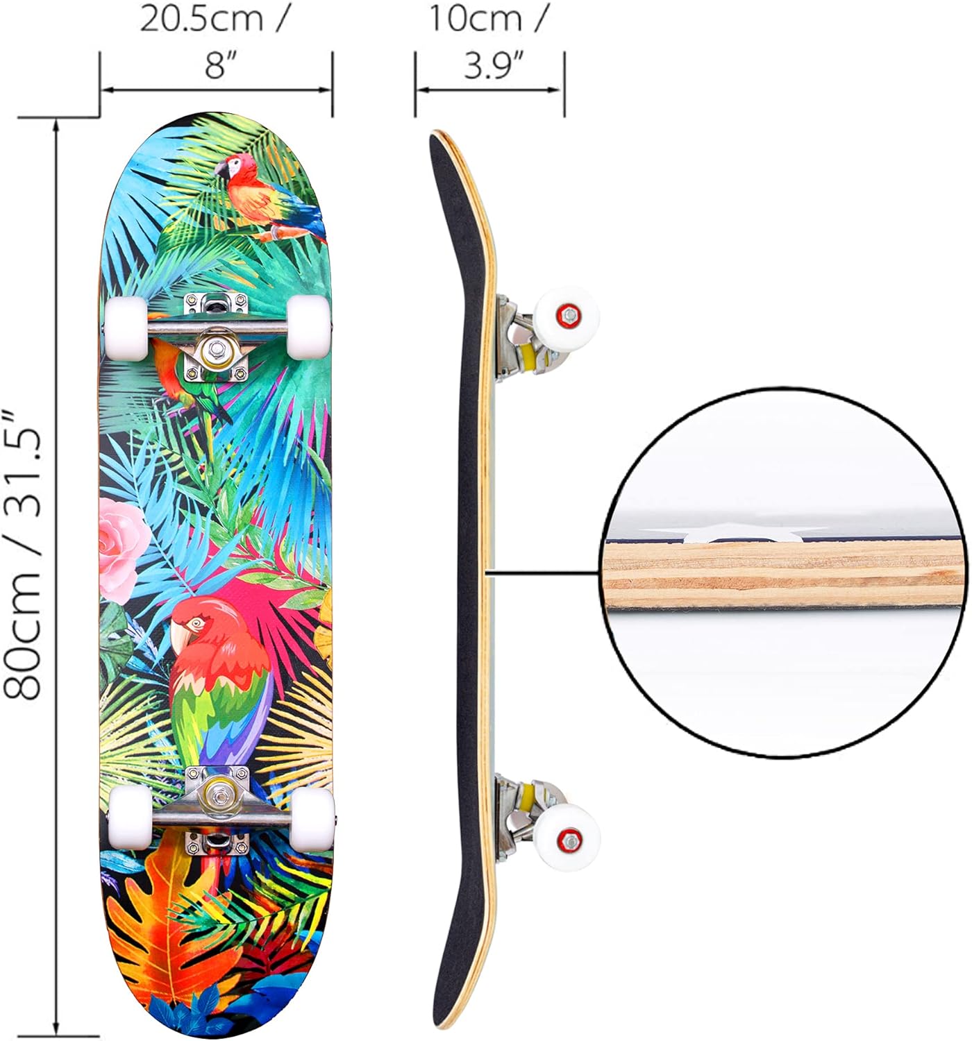 JECOLOS Pro Complete Skateboards for Beginners Adults Teens Kids Girls Boys 31"x8" Skate Boards 7 Layers Deck Maple Wood Longboards (Forest) : Sports & Outdoors