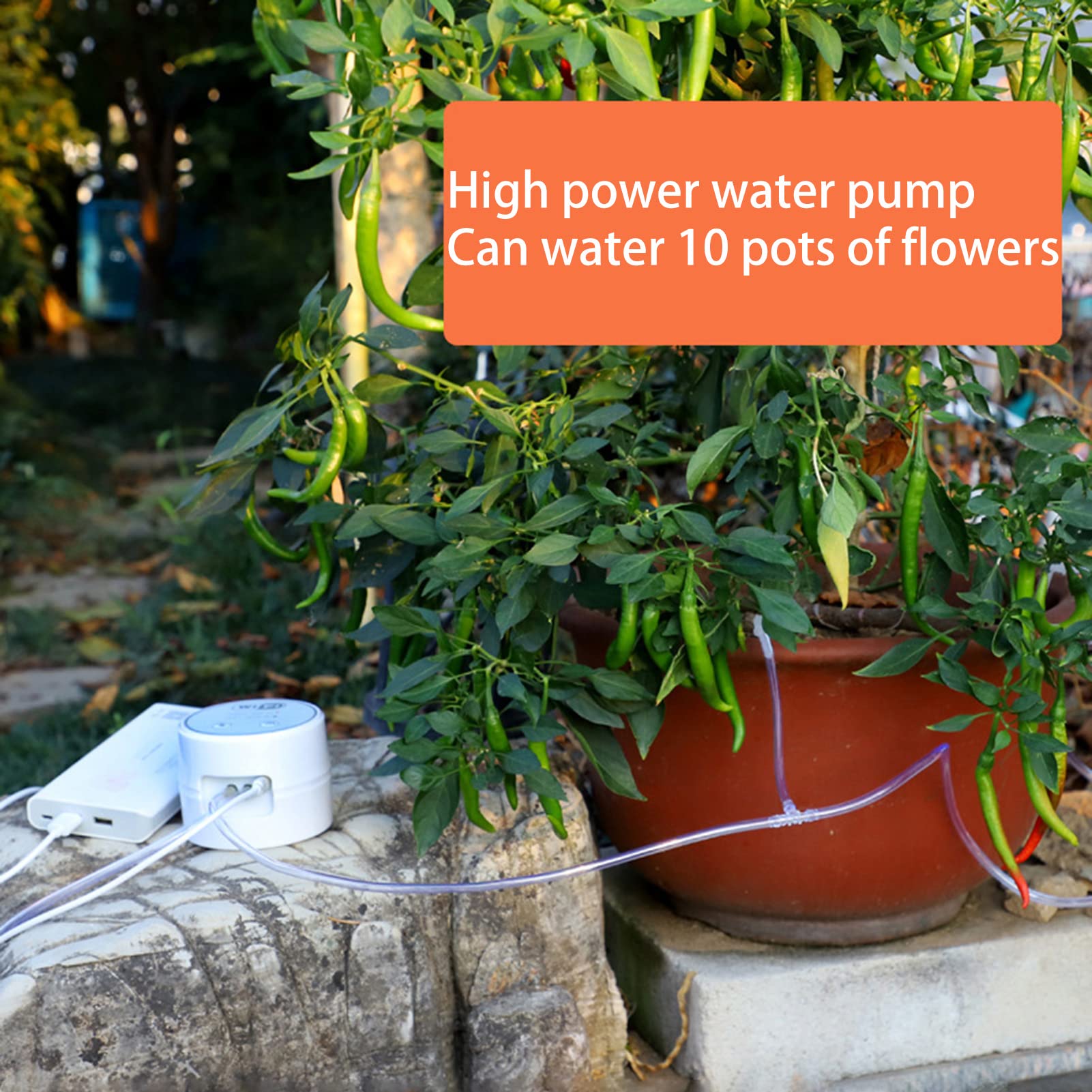 Automatic Houseplant Watering System, Plant Self Watering System DIY Automatic Drip Irrigation Kit 10 Potted Plants Drip Irrigation Kit WiFi Remote Automated Device for Indoor Plants