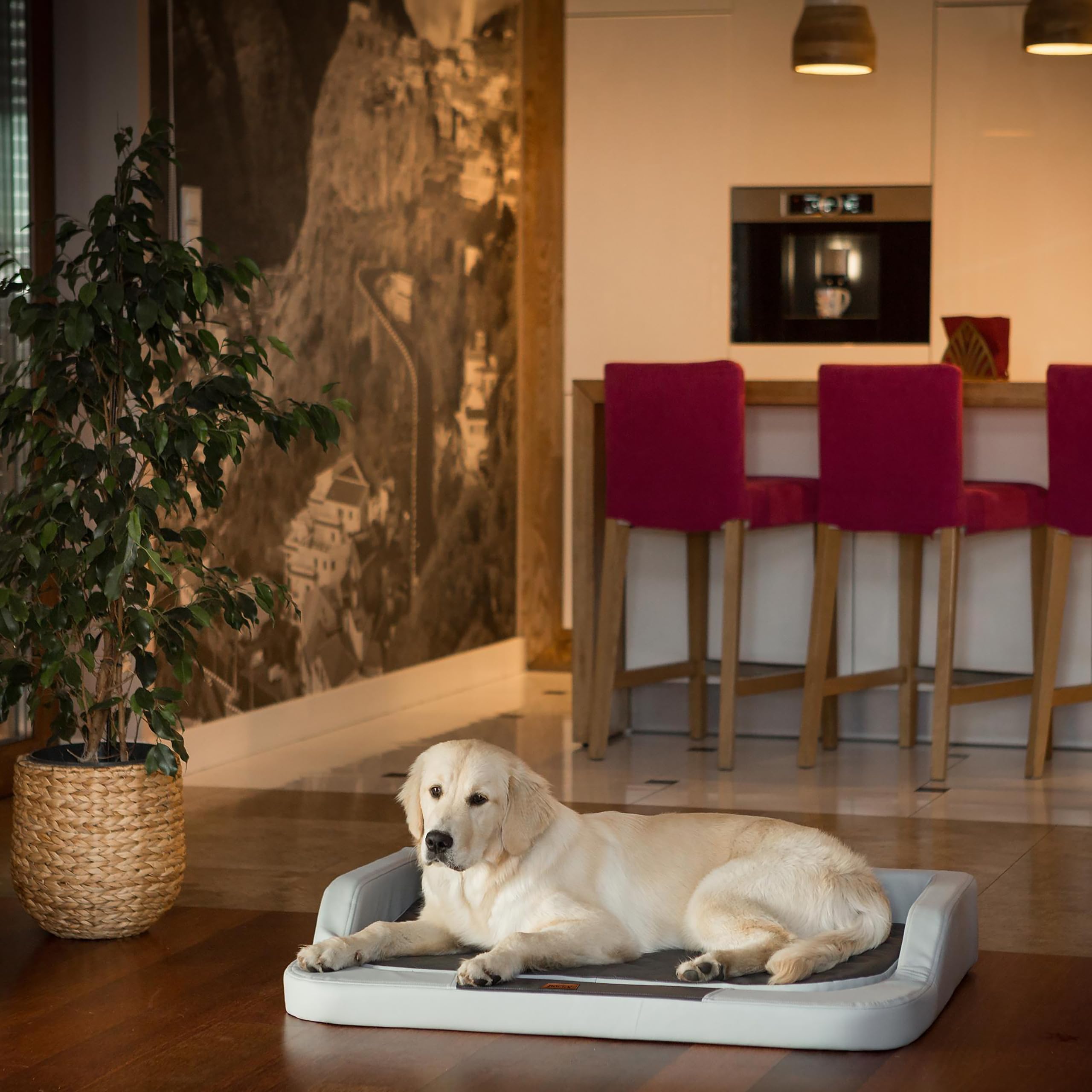 Espacio para dormir para perros, accesorios para perros, sofá, cama para perros, cama para perros, cama de descanso, cama para perros, 120 x 80 cm