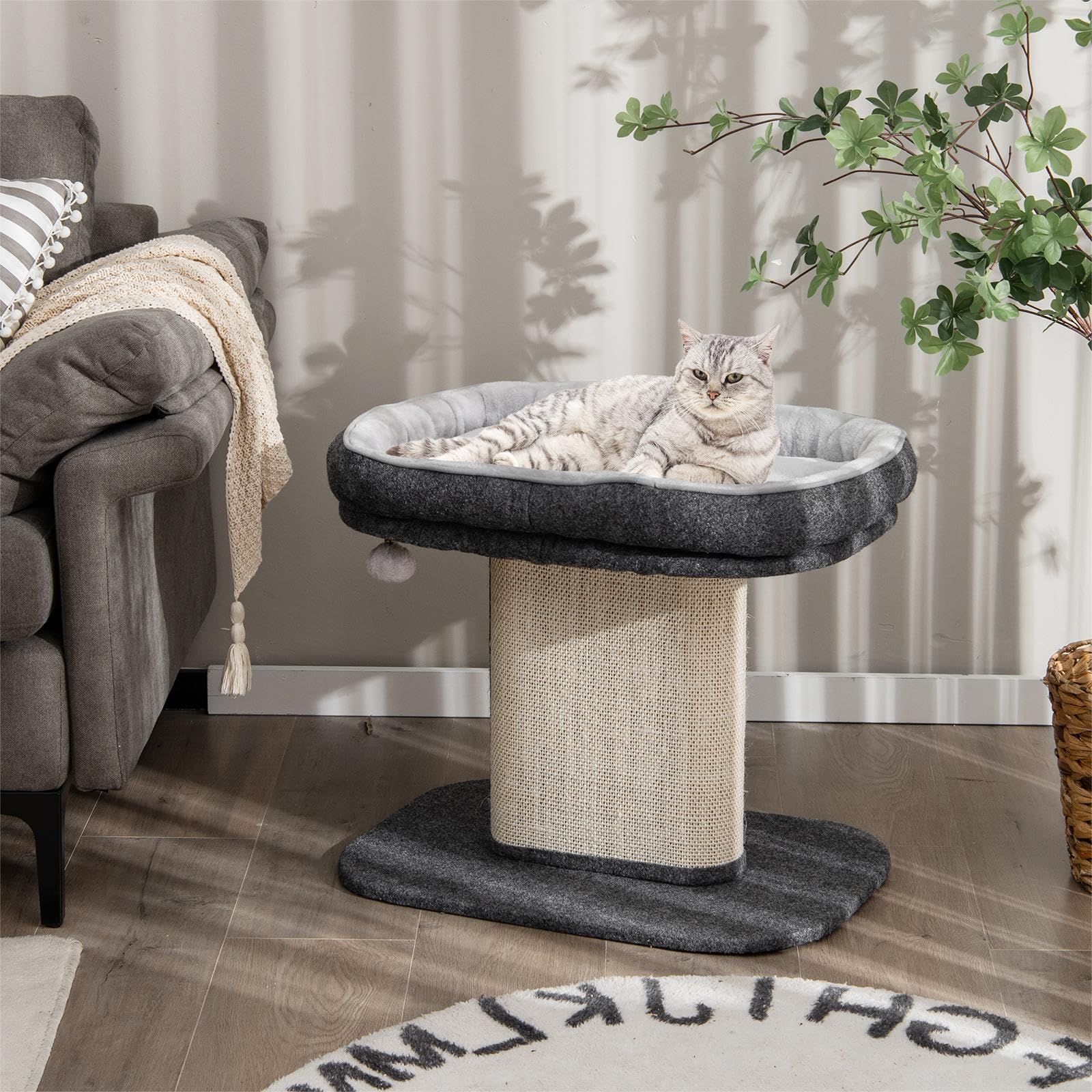 SOARS Tiragraffi piccolo, altezza 50 cm, tiragraffi per gatti con seduta in peluche e colonna in sisal e palla, albero da arrampicata in legno stabile, per gatti